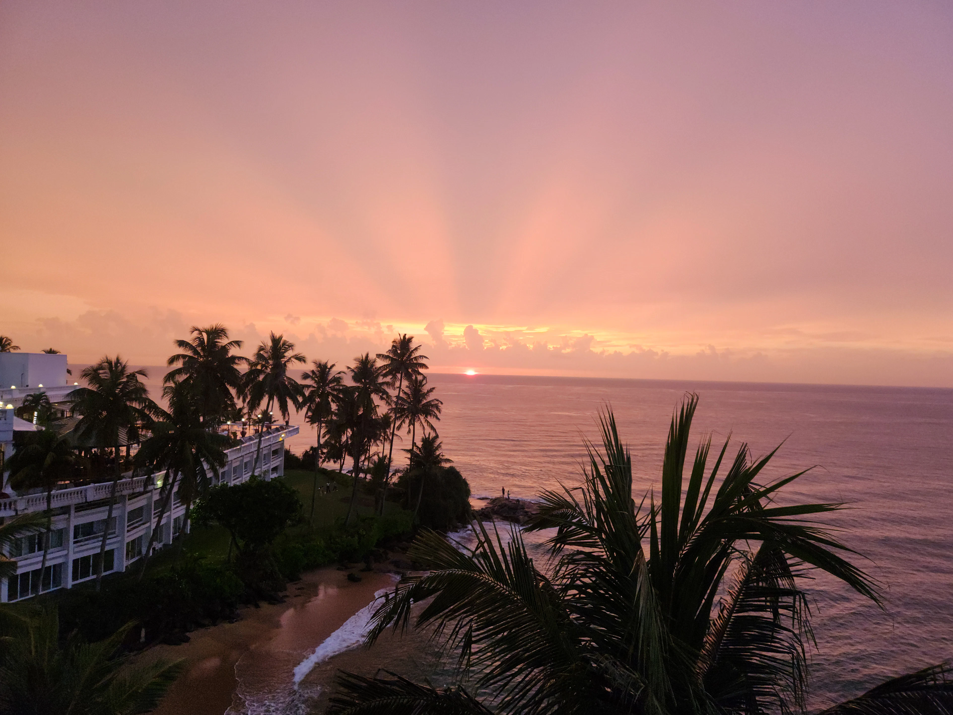 Palm fronds frame a fiery sunset over the ocean, with a beachfront hotel and cove silhouetted below.