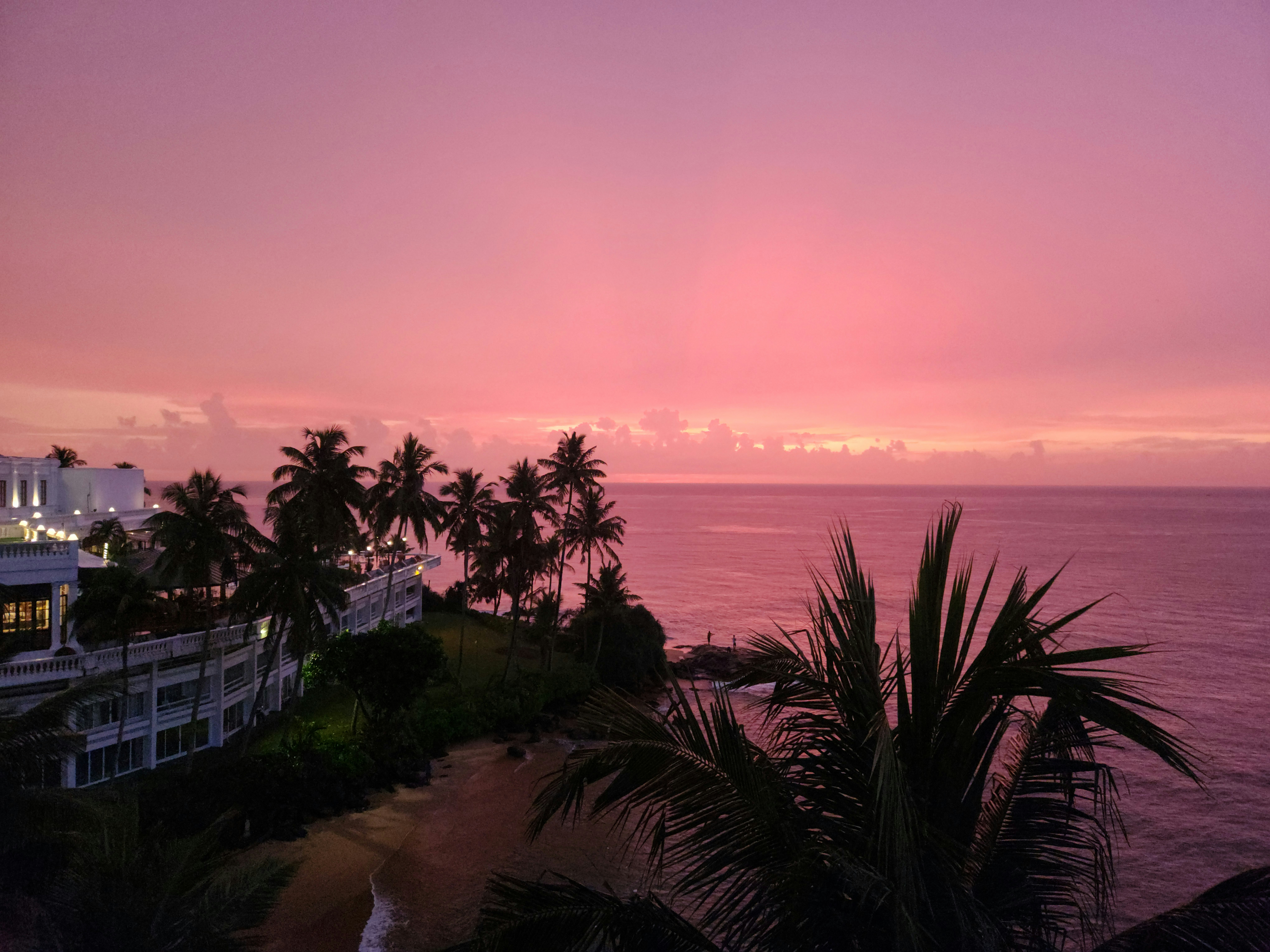 Photo by zoshuacolah