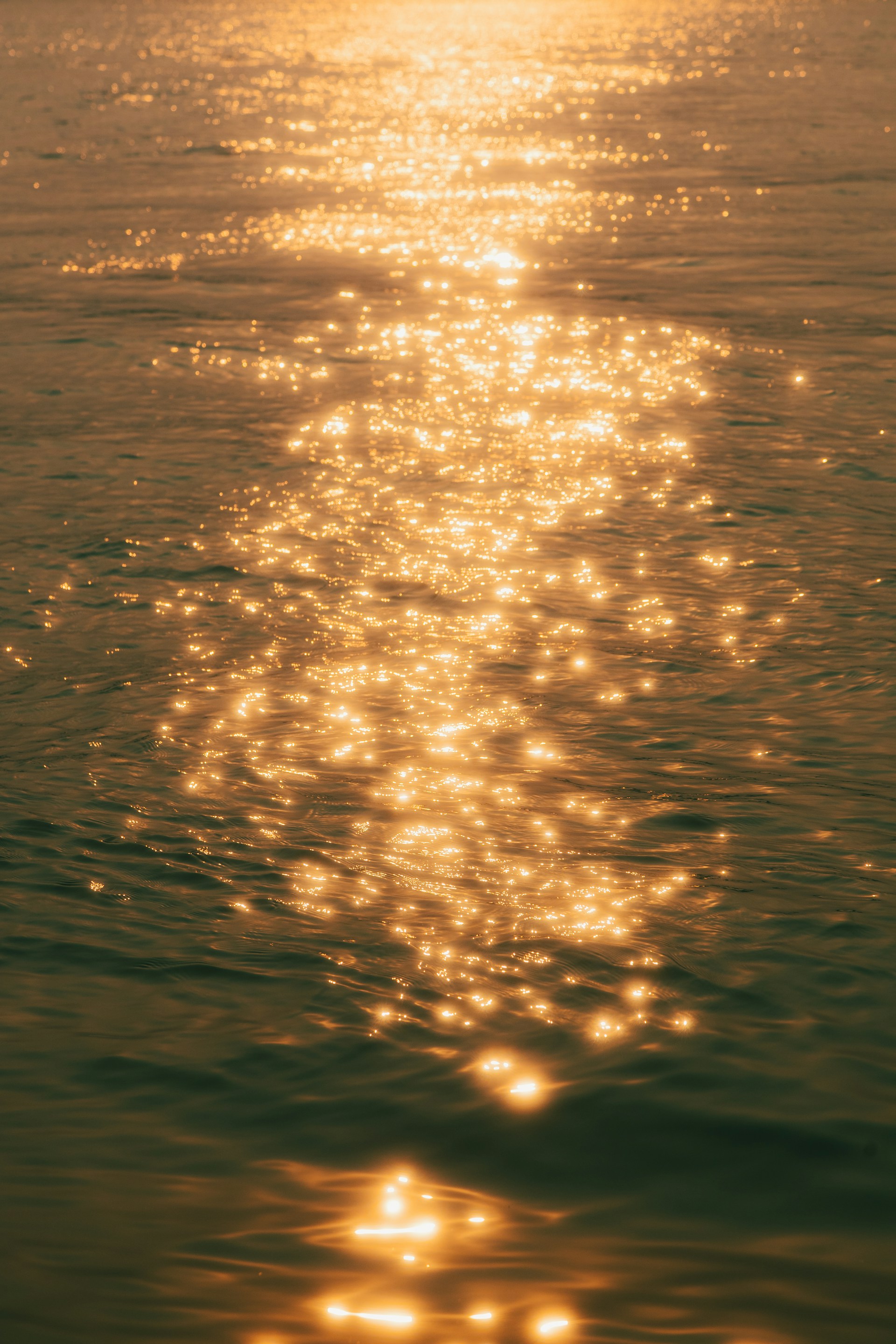 Sunlight glistens on a body of water.