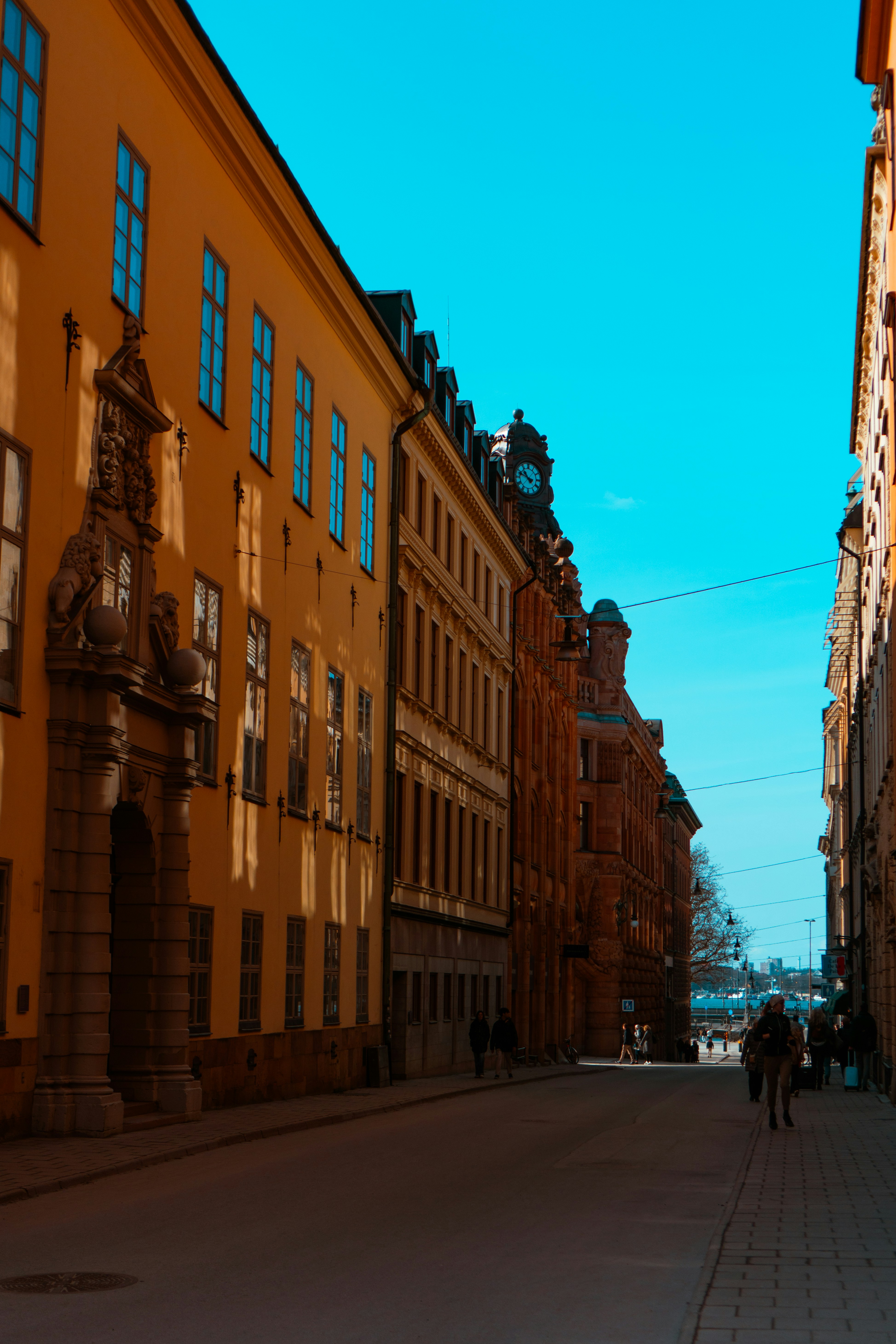 Photo by melatonical