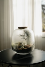 A terrarium sits on a dark table by a window.