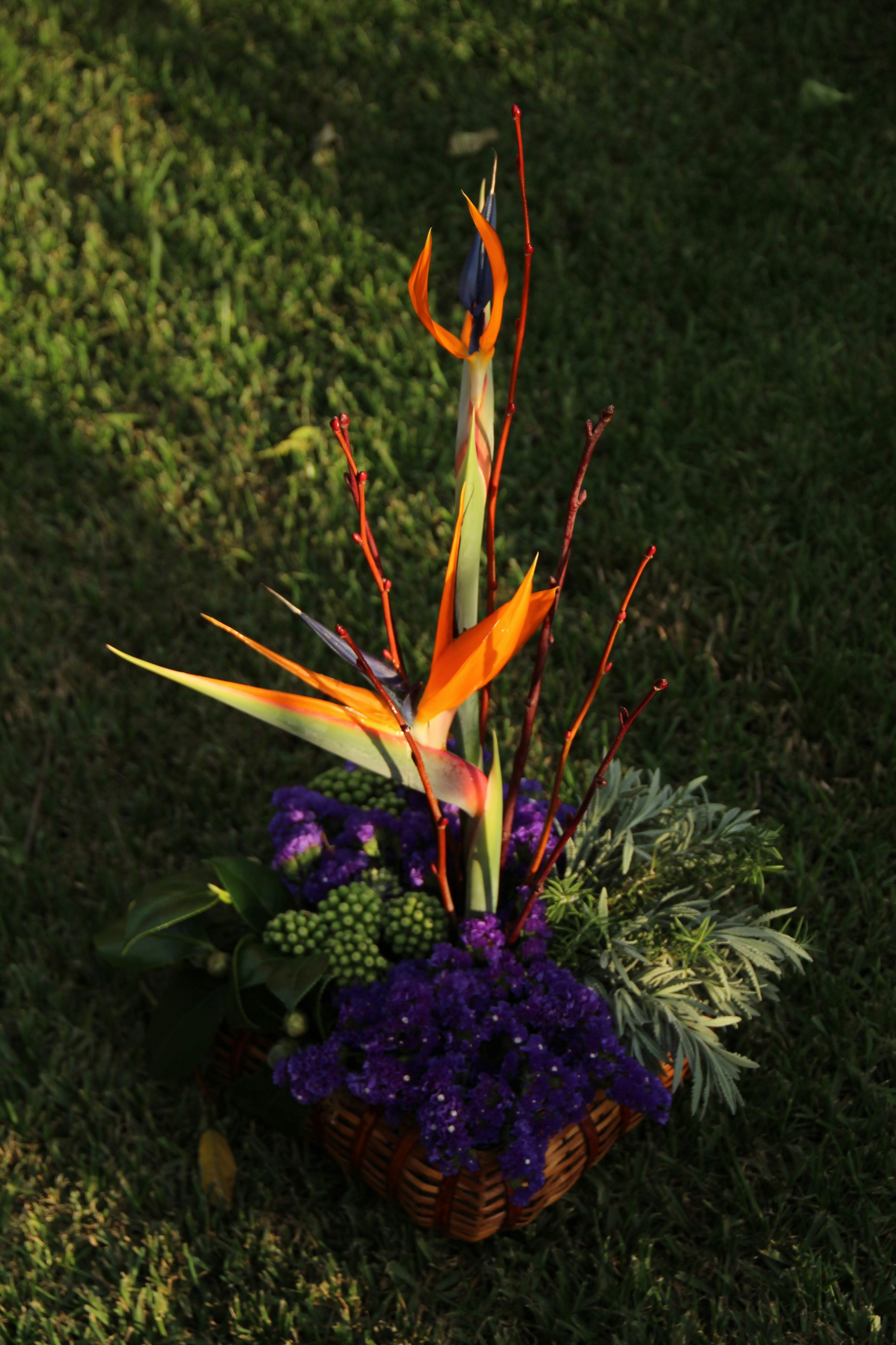 Bird of paradise floral arrangement in a basket.