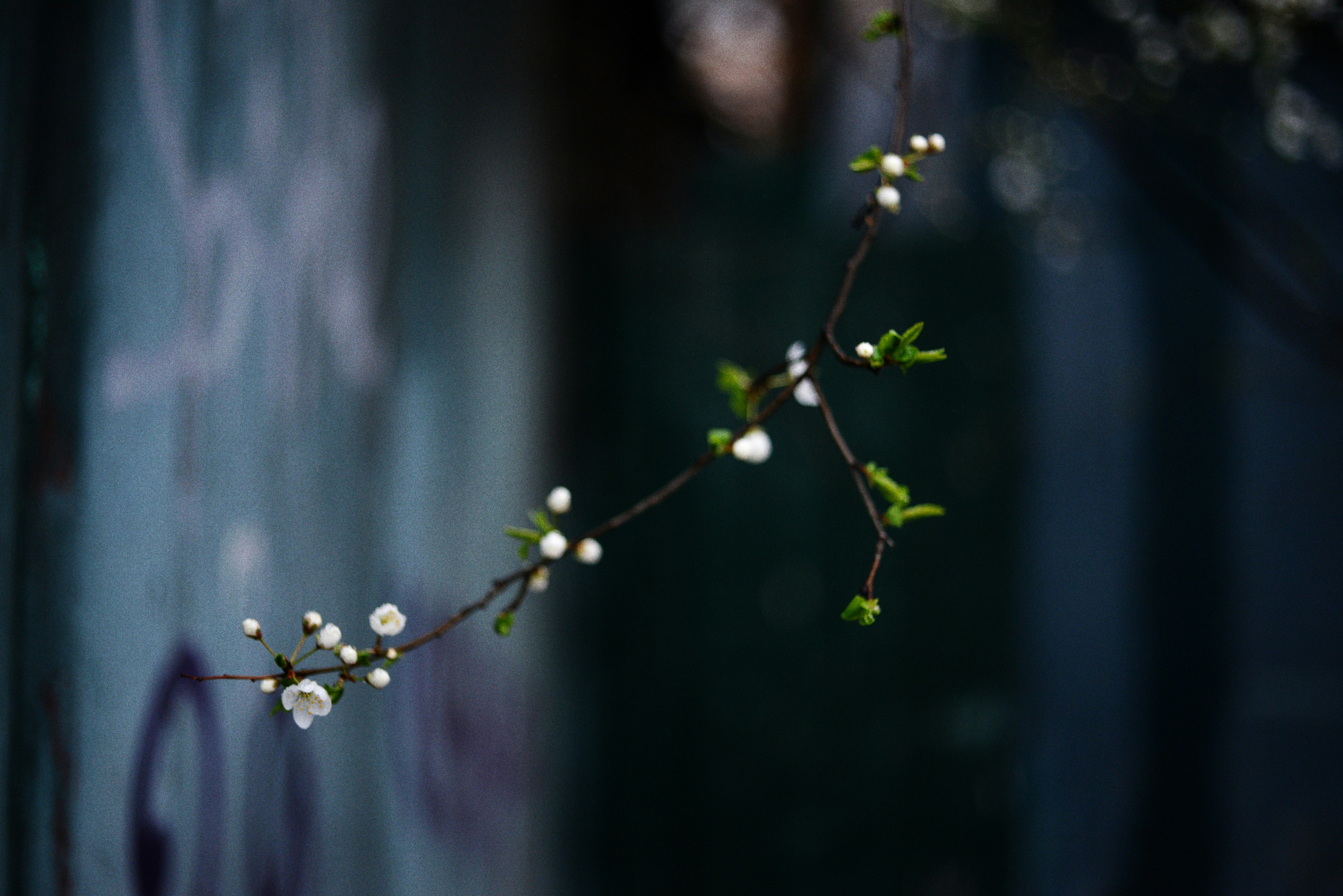 Photo by cherstve_pechivo