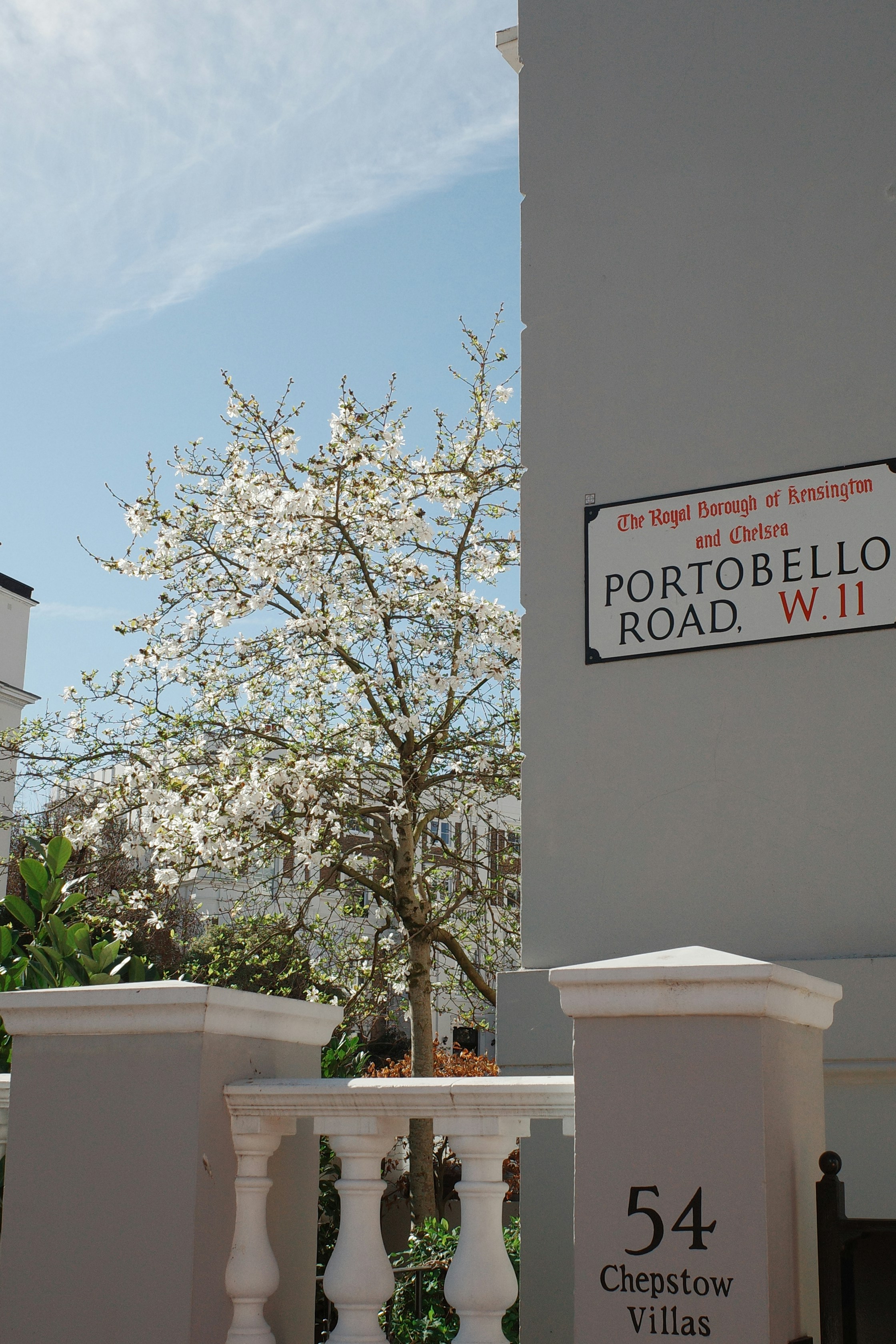Portobello road sign with a flowering tree
