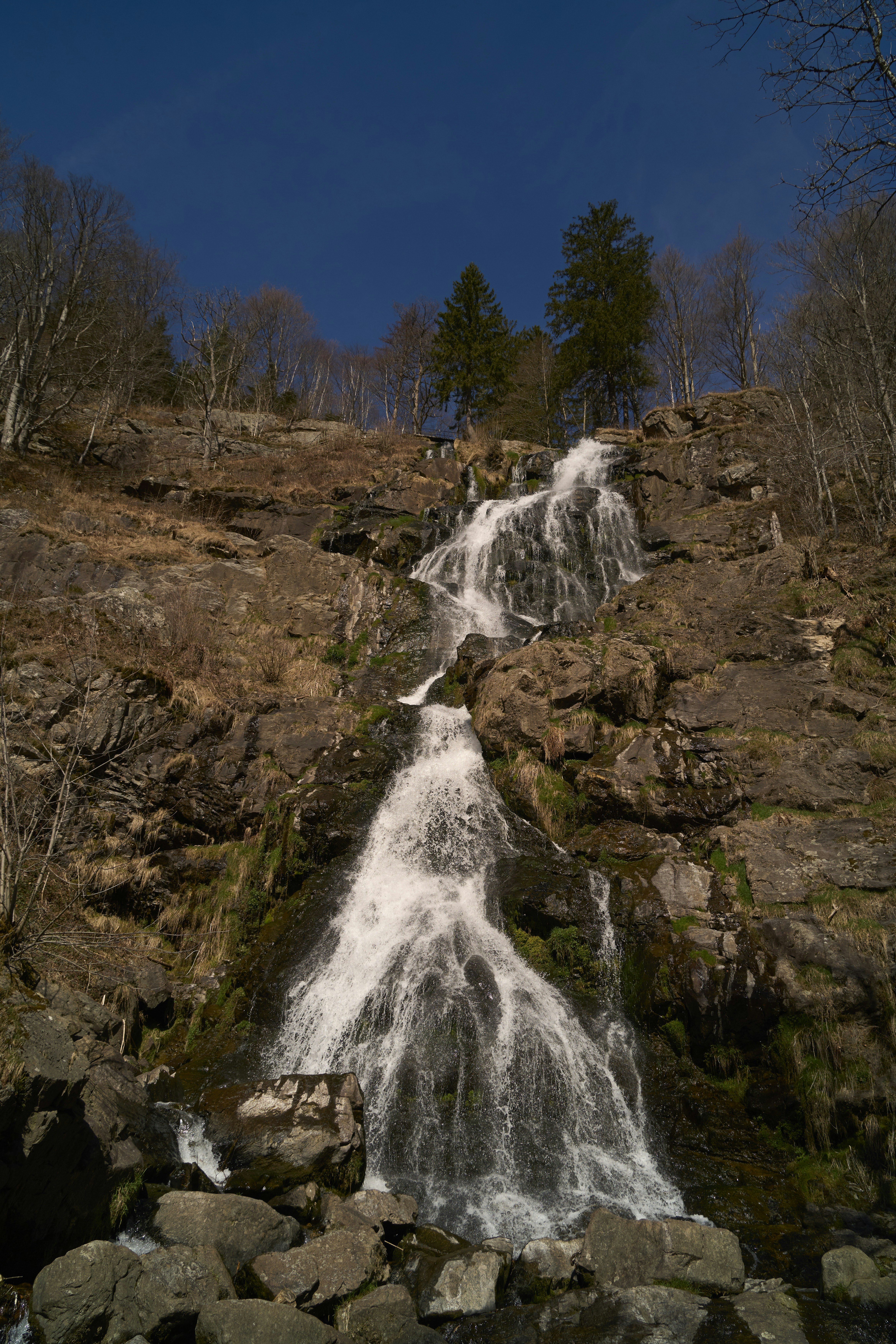 Photo by wolfgang_hasselmann