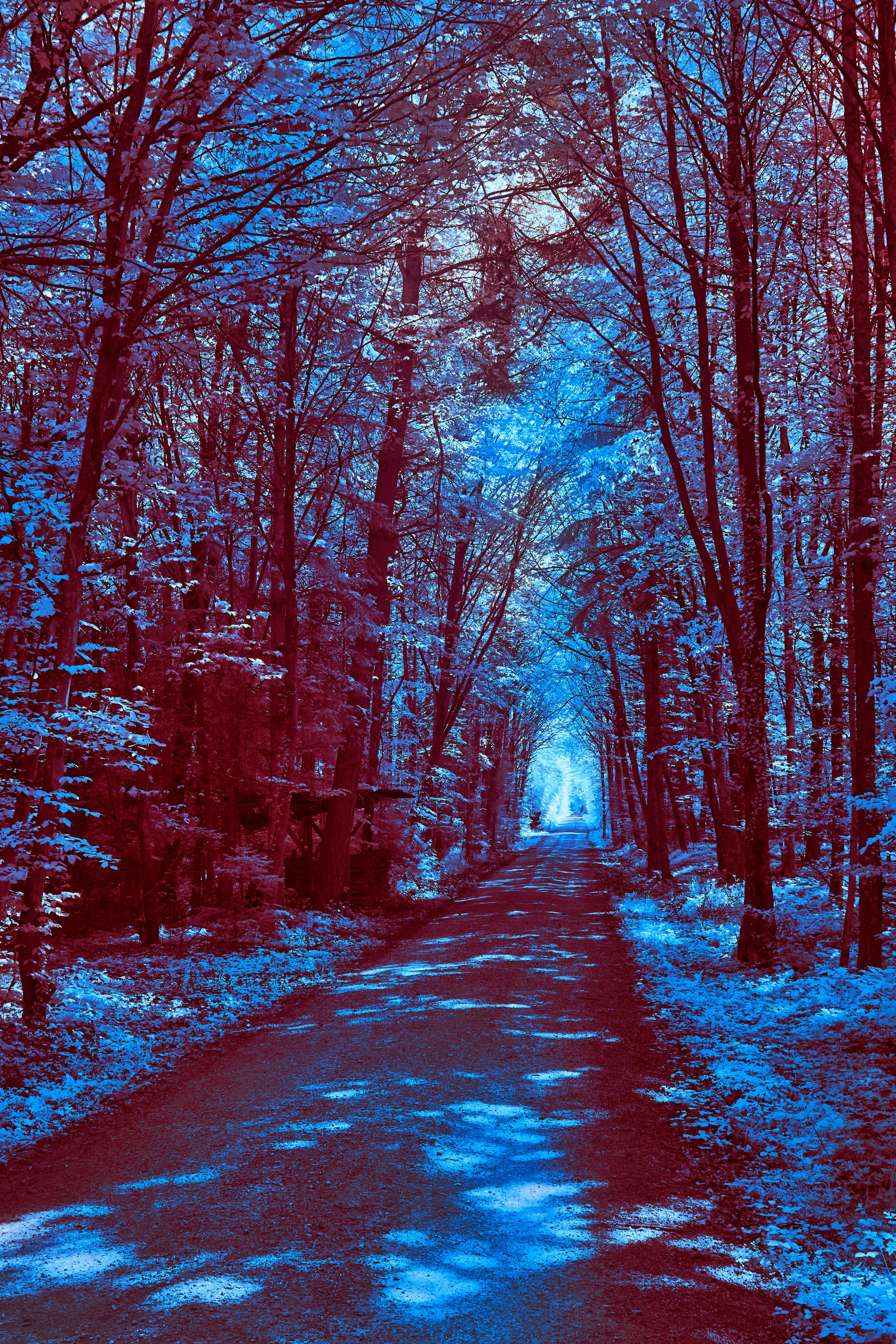 Photo by wolfgang_hasselmann