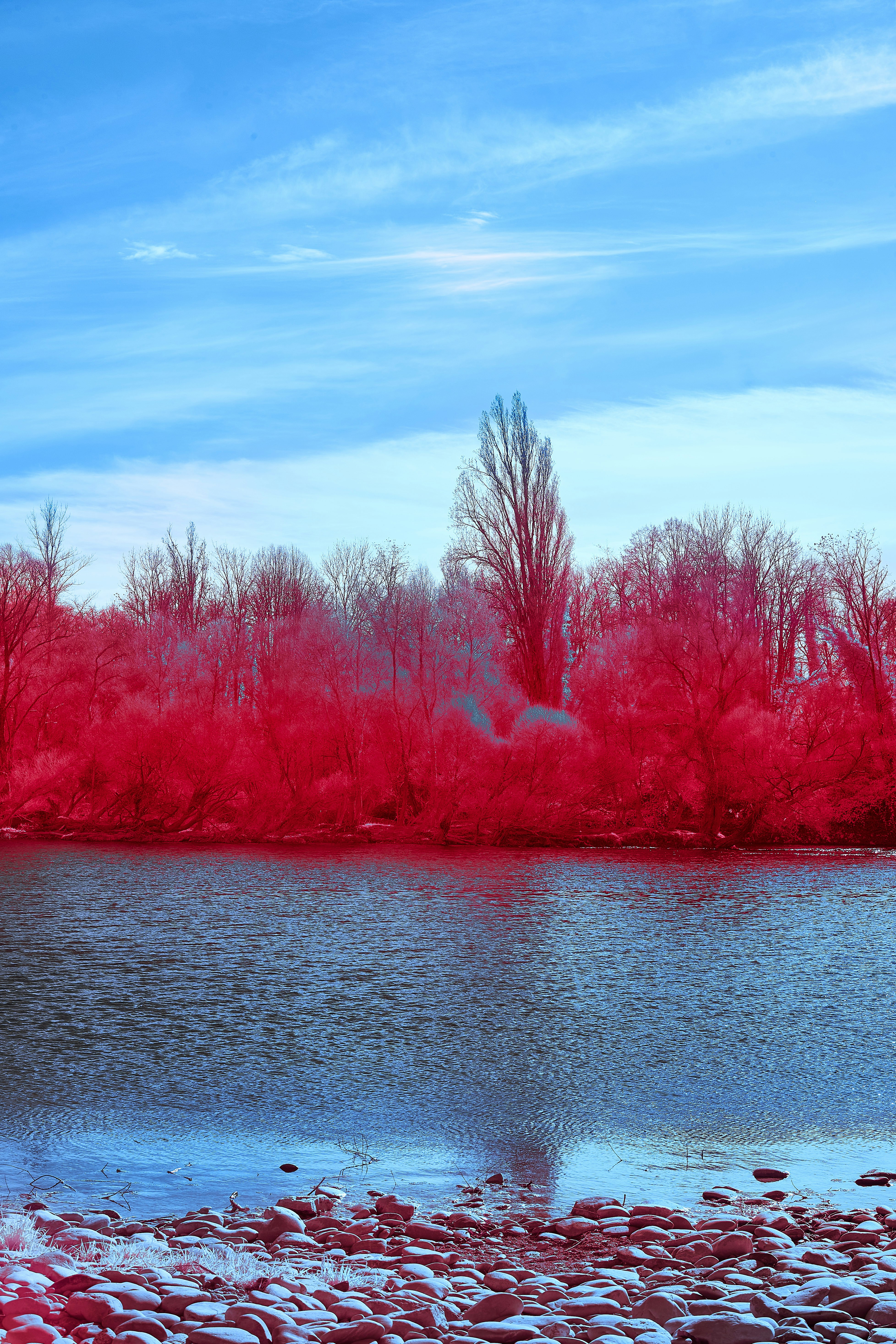 Photo by wolfgang_hasselmann