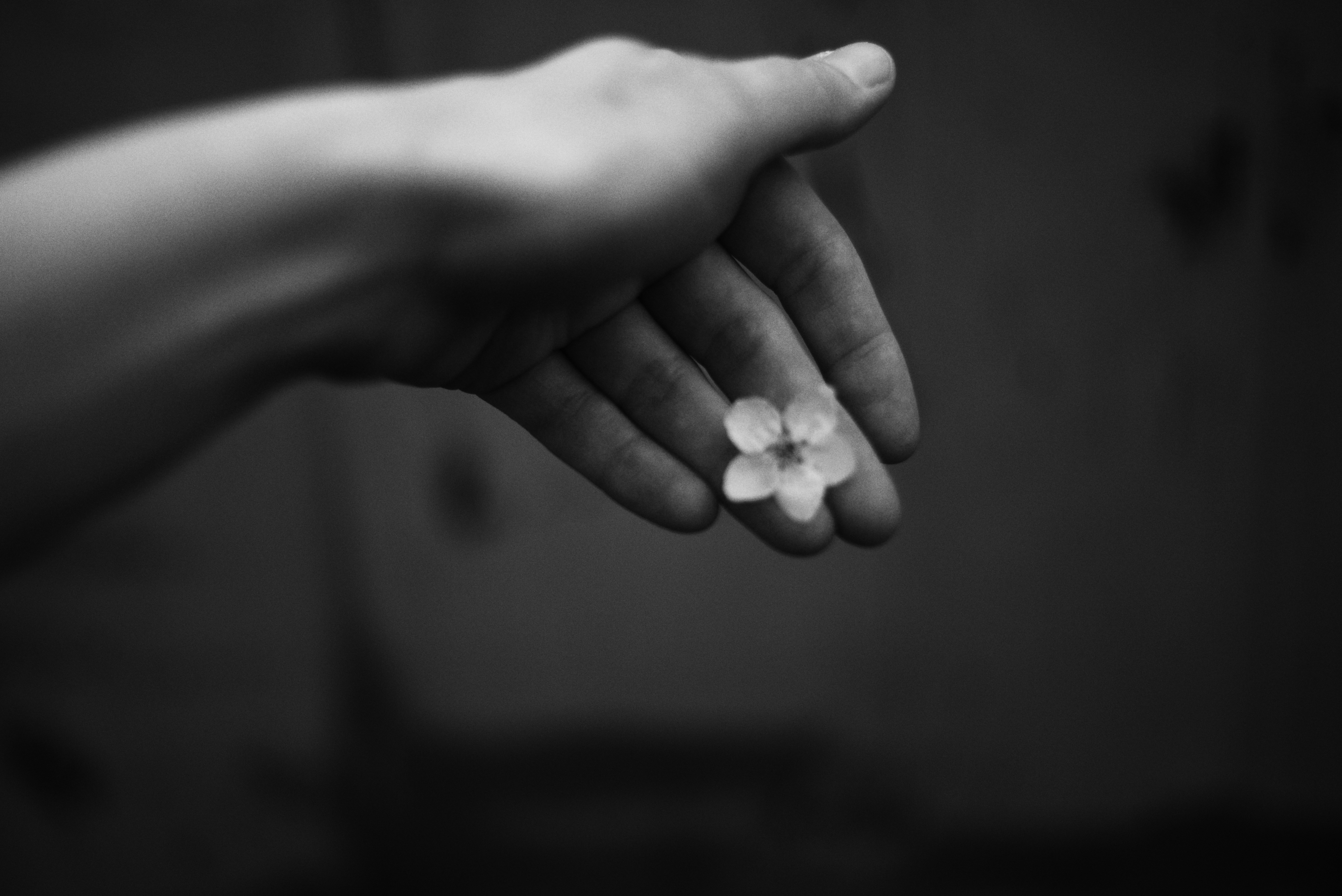 Photo by cherstve_pechivo