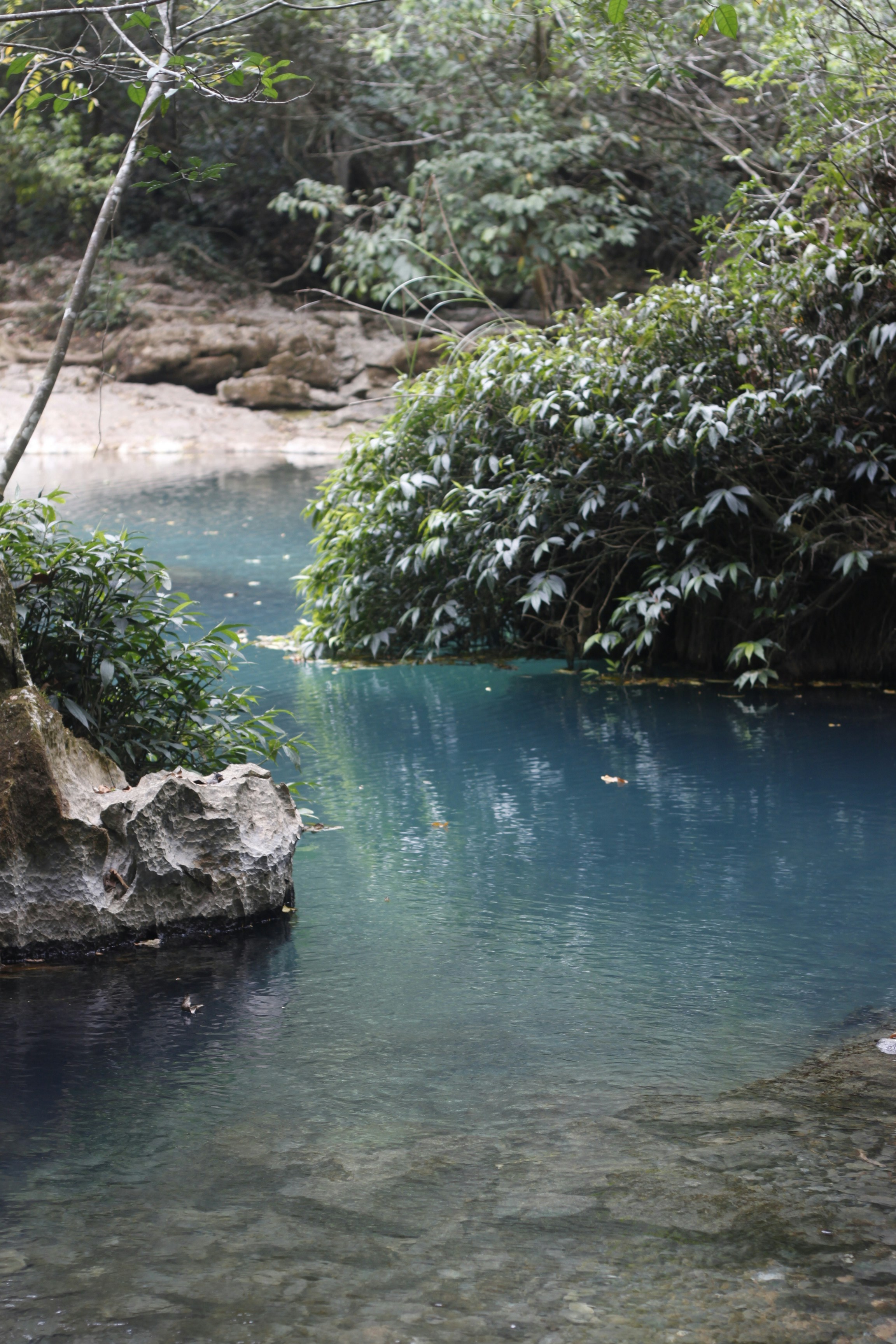 Photo by jtrinh_artwork