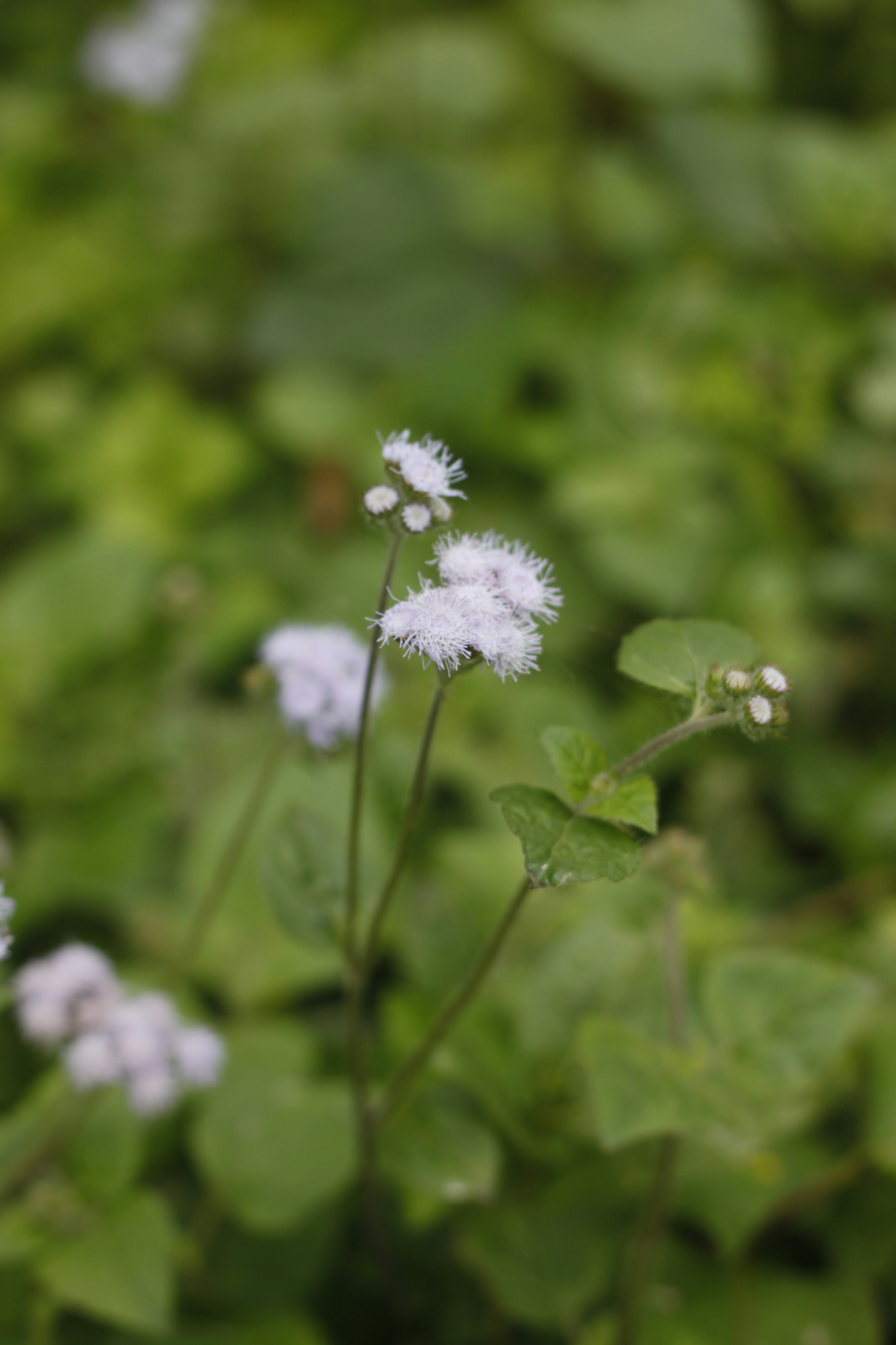 Photo by jtrinh_artwork