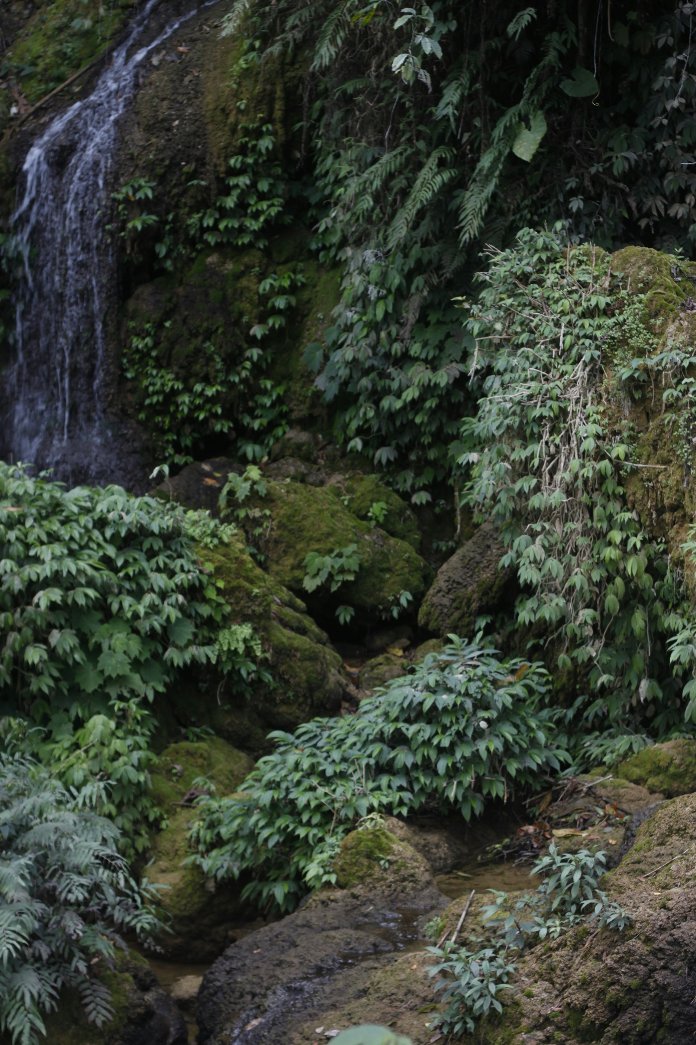 Photo by jtrinh_artwork