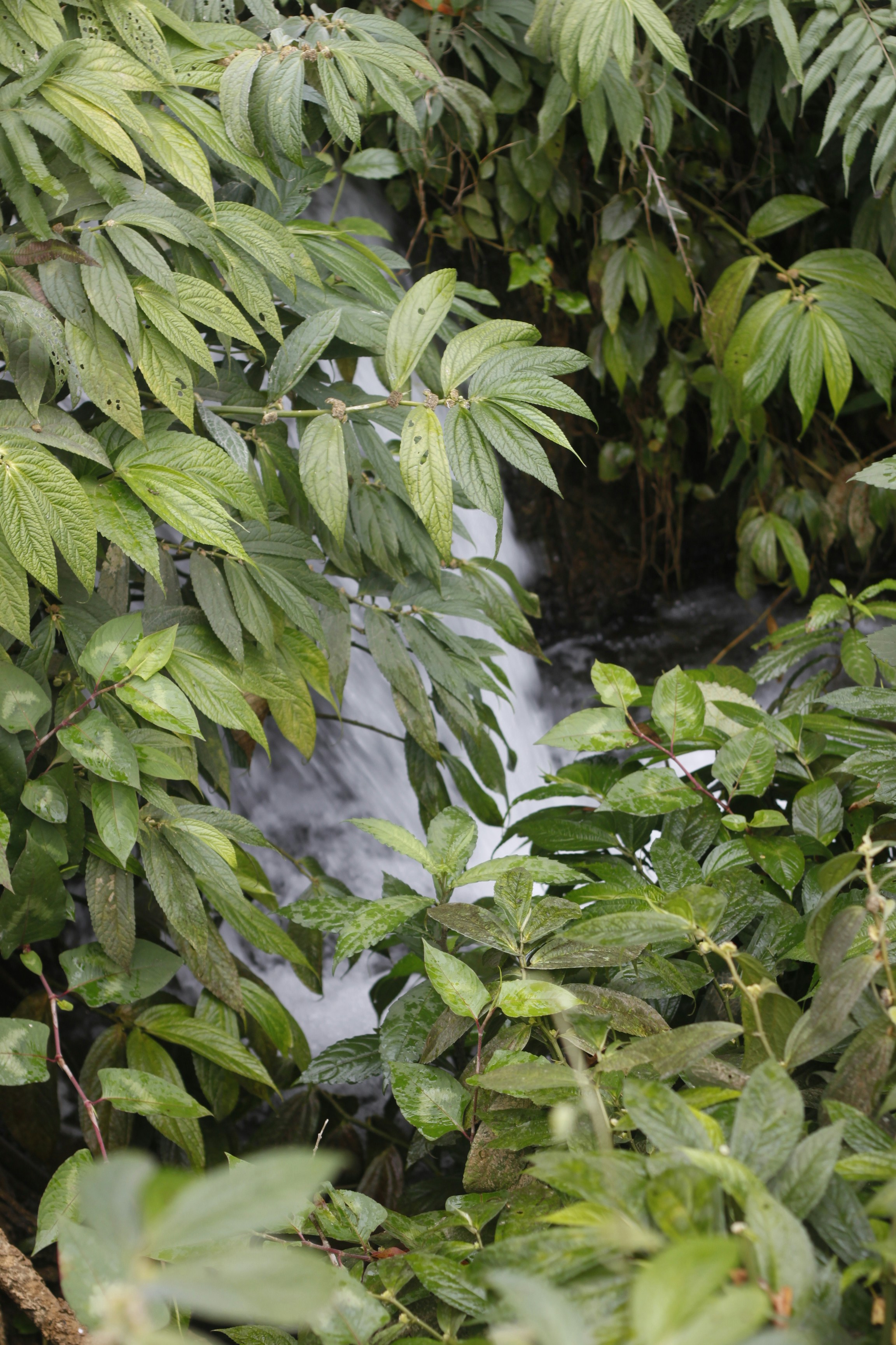 Photo by jtrinh_artwork