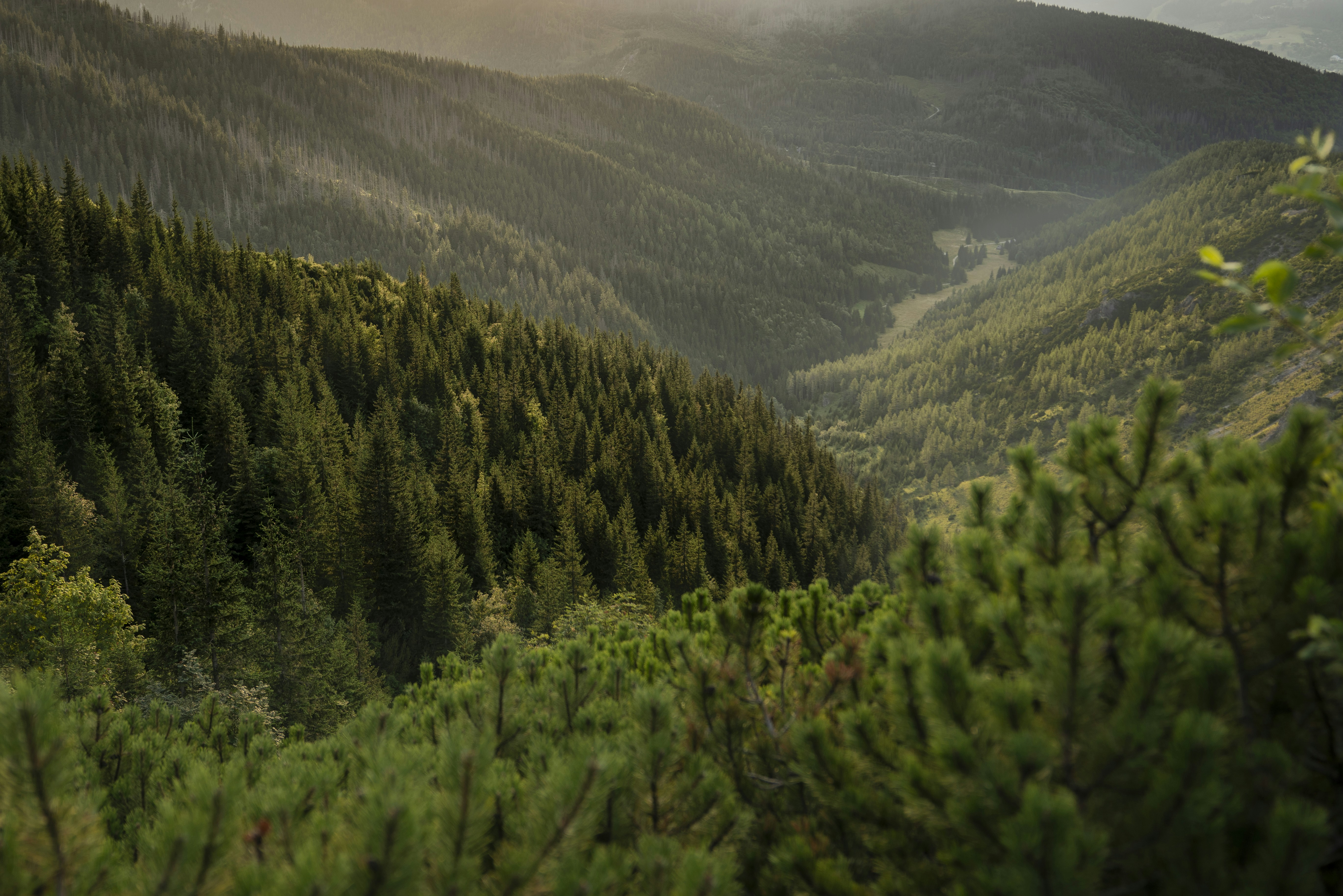 Photo by greaterthanimage