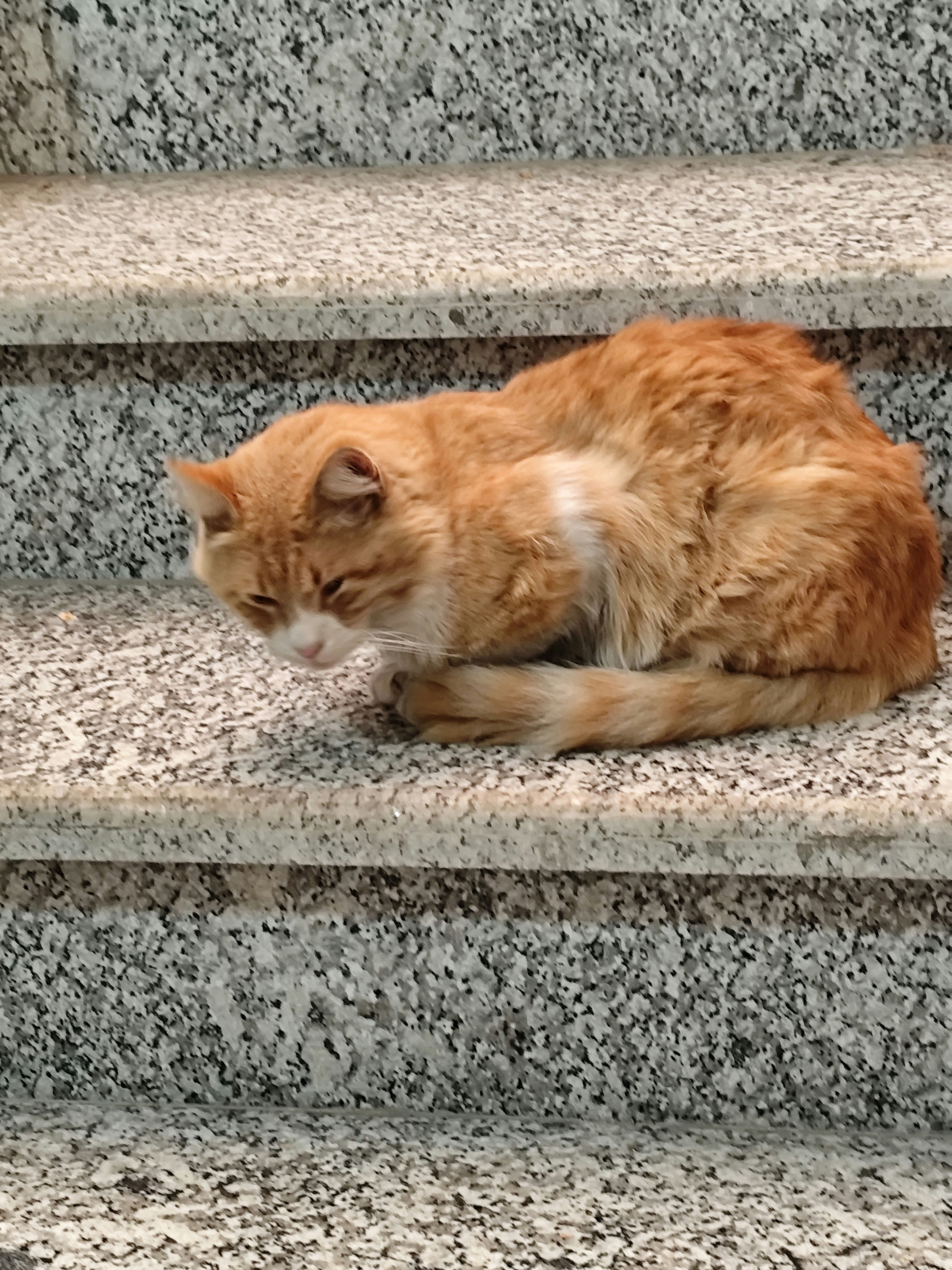 Photo by mahshid1075_