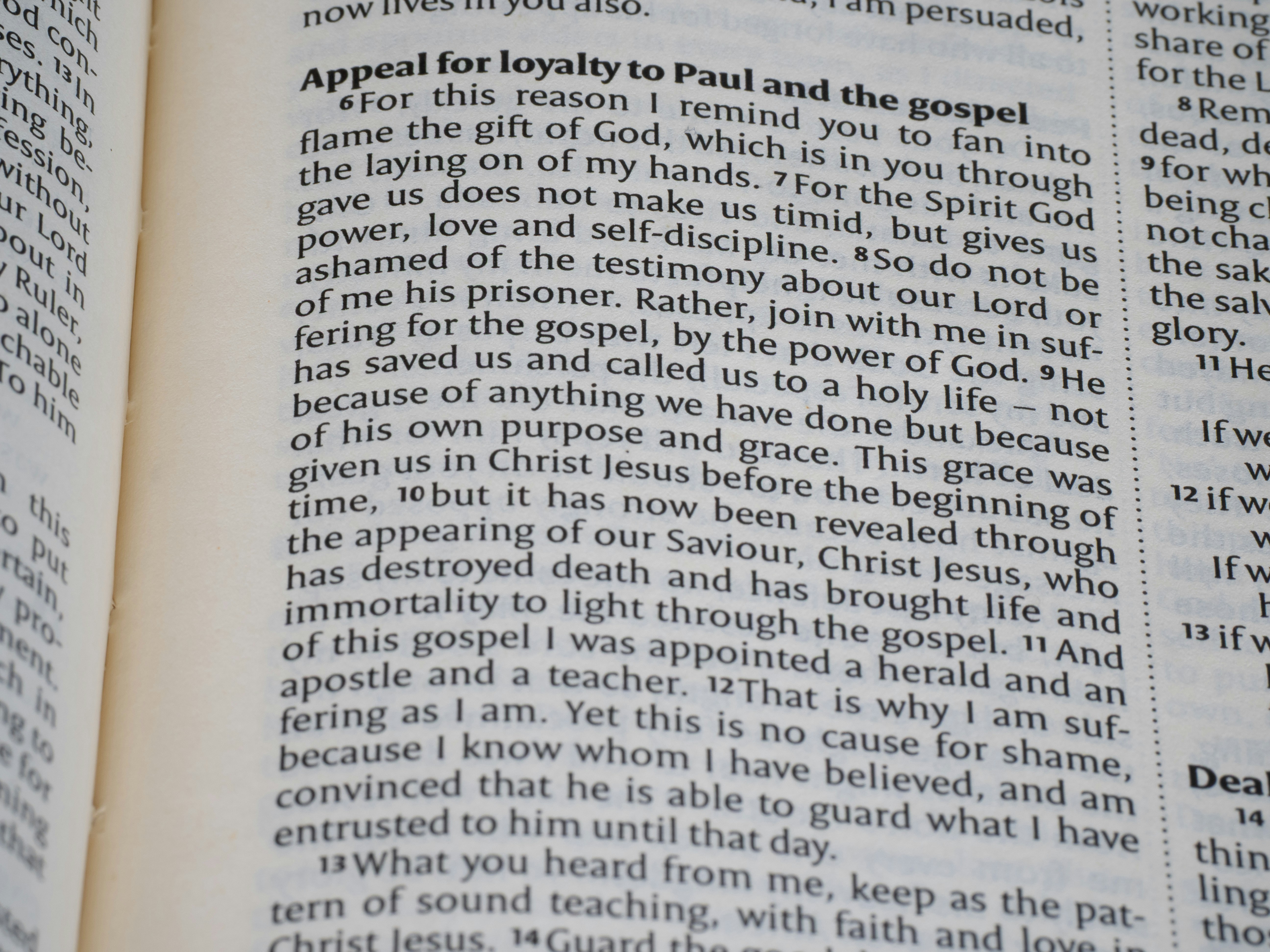 close up, bokeh, bible, new testament, christian, history, text, reading, bible study, devotions, christianity, scripture, epistle, letter, paul, timothy, 2 timothy, gospel, faithfulness, suffering, doctrine, power, grace, scripture,