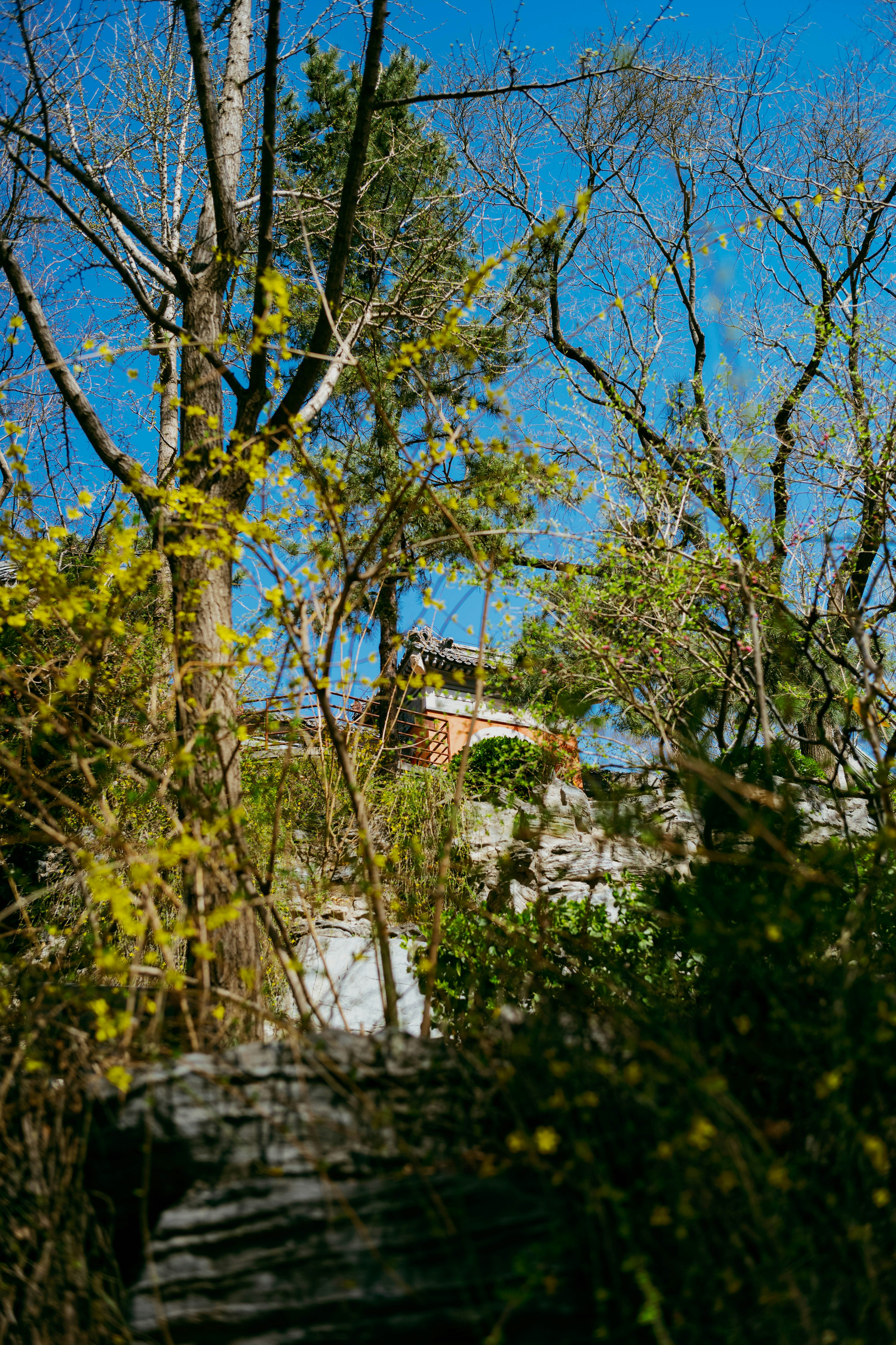 Photo by tommaomaoer