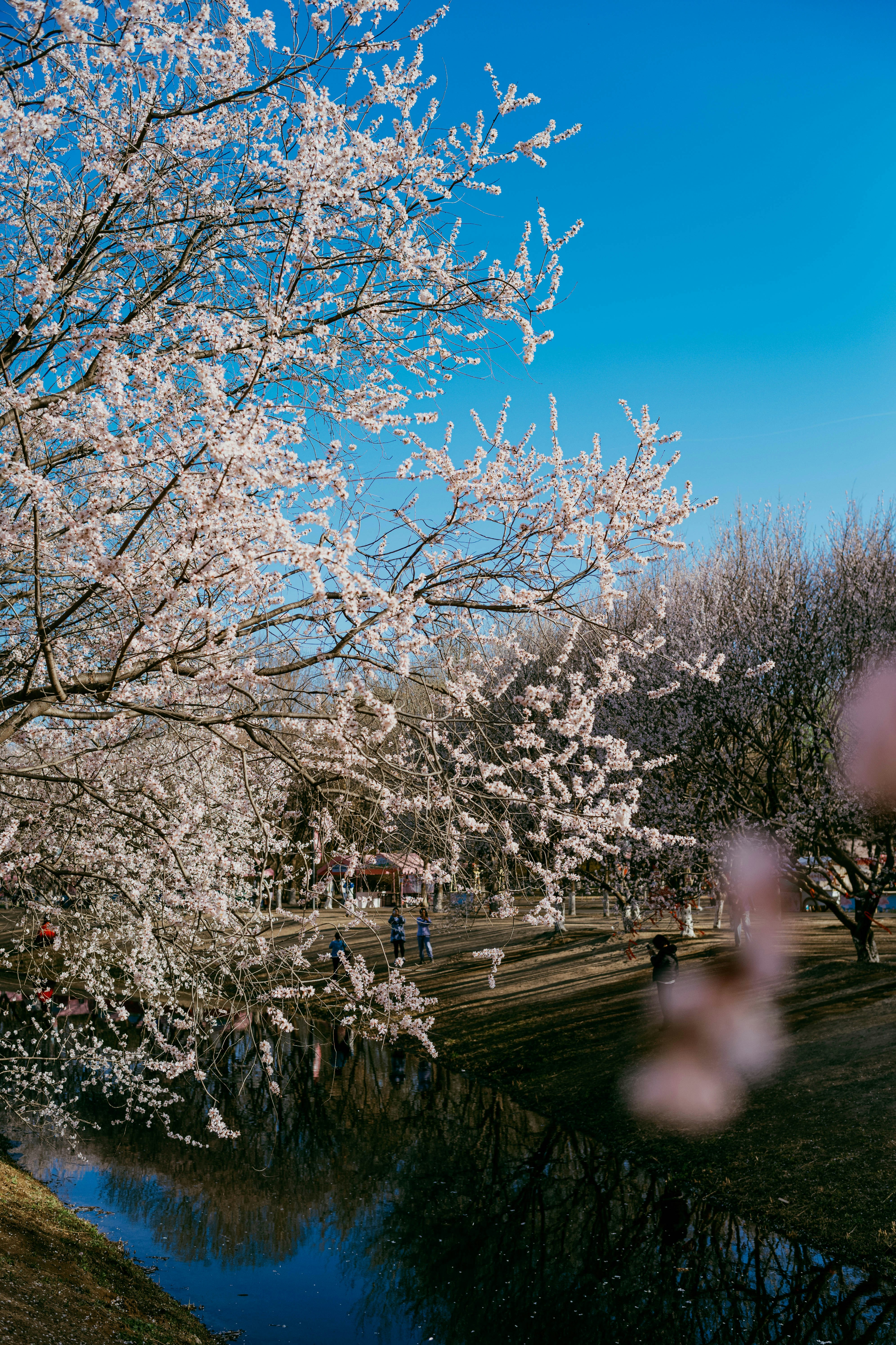 Photo by tommaomaoer