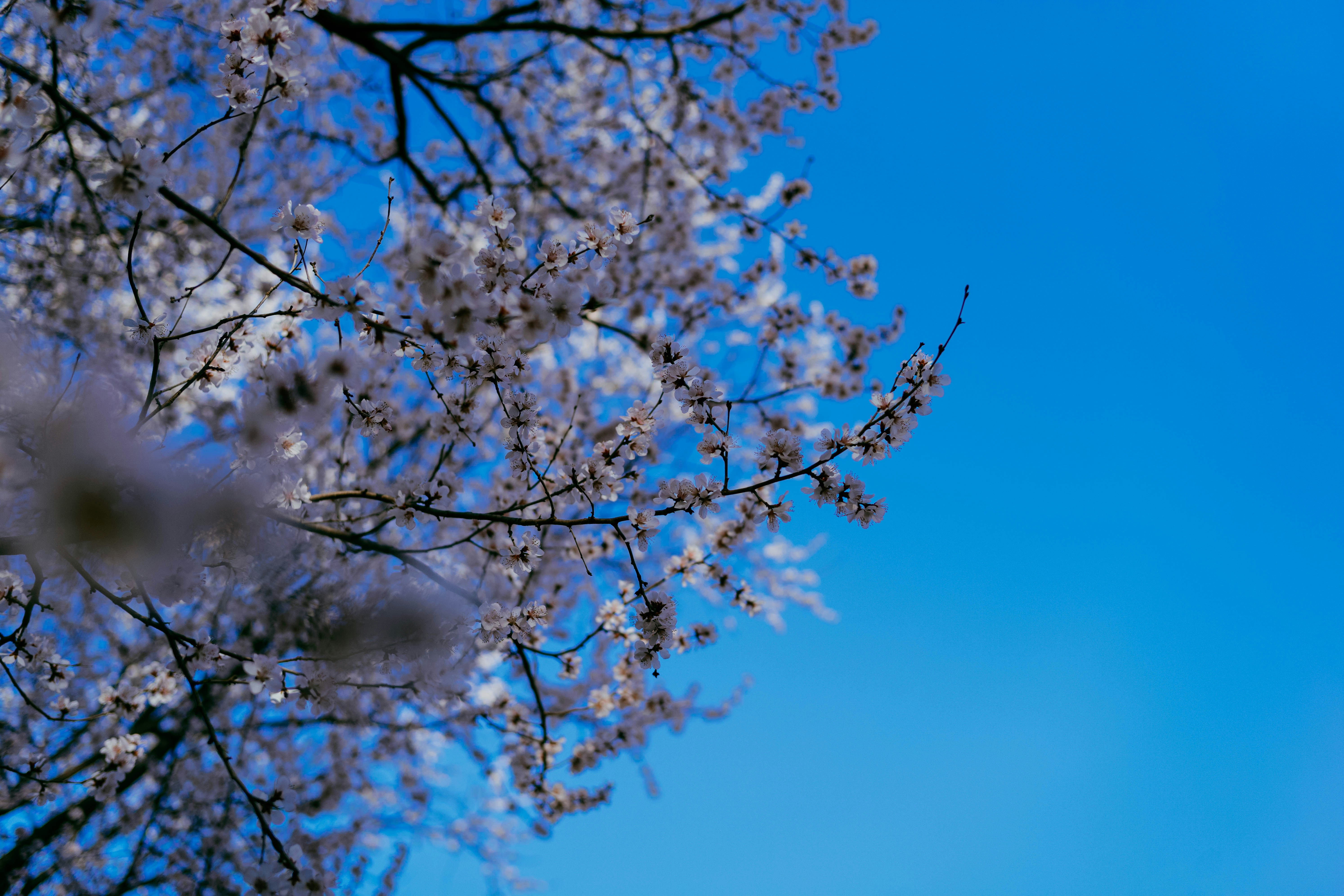 Photo by tommaomaoer