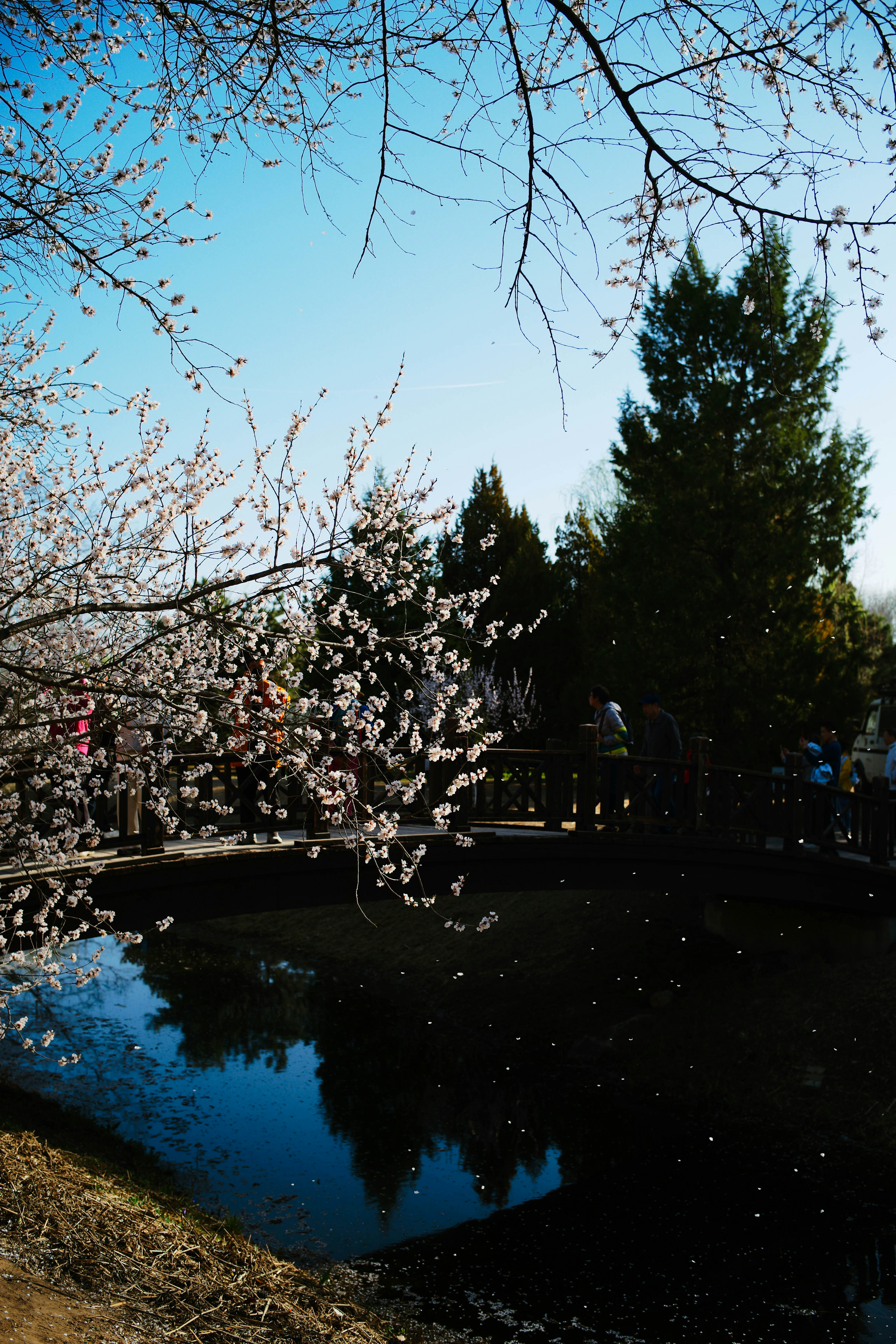 Photo by tommaomaoer