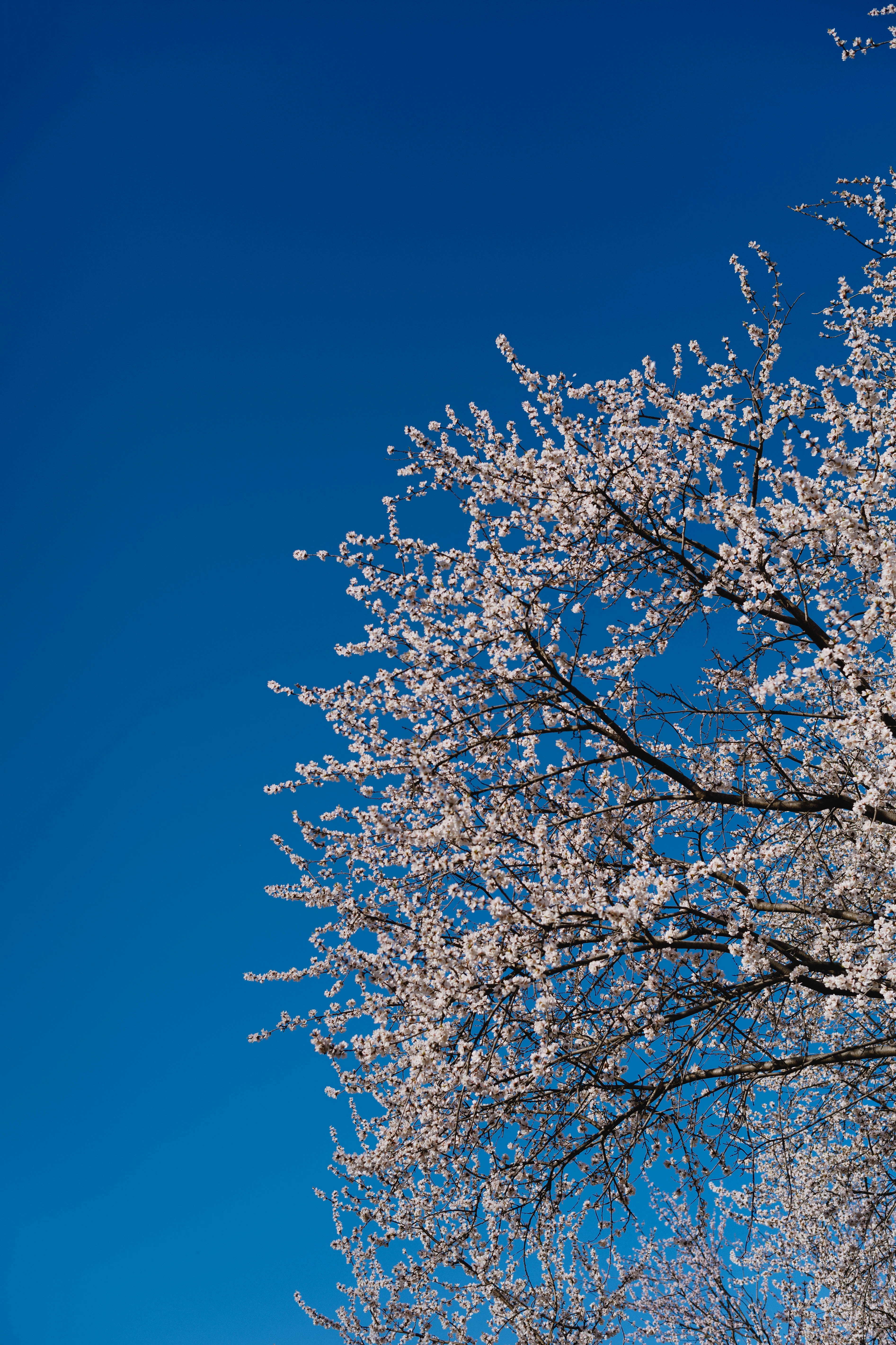 Photo by tommaomaoer