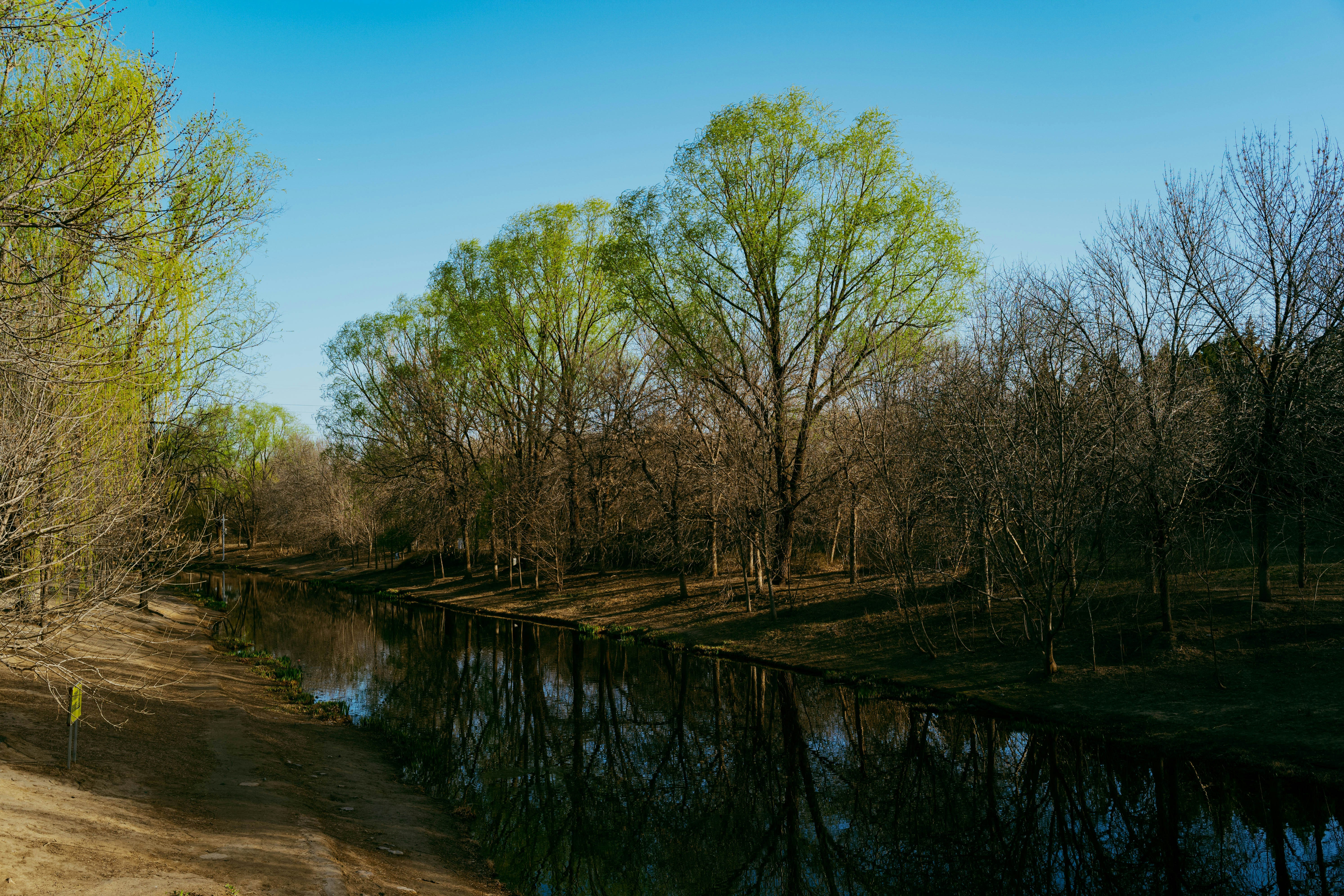 Trees reflect in calm water under a blue sky.