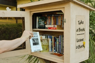 Someone is taking a book from a little free library.