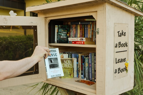 Someone is taking a book from a little free library.