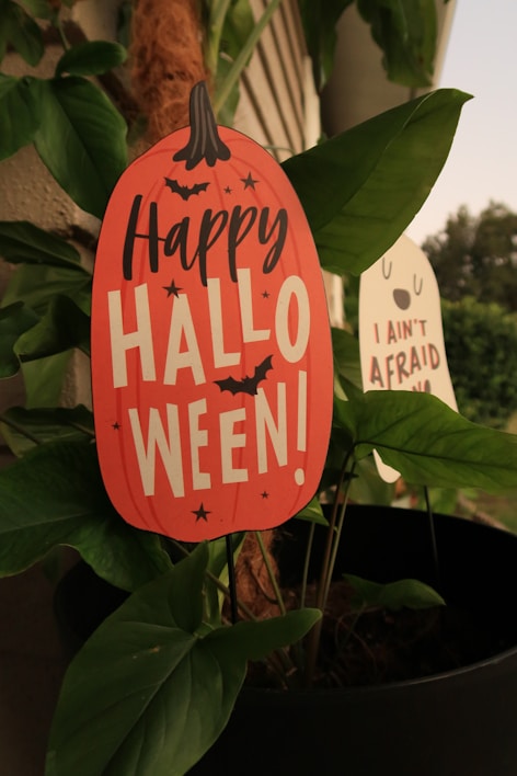 Spooky Halloween decorations and props for home and party