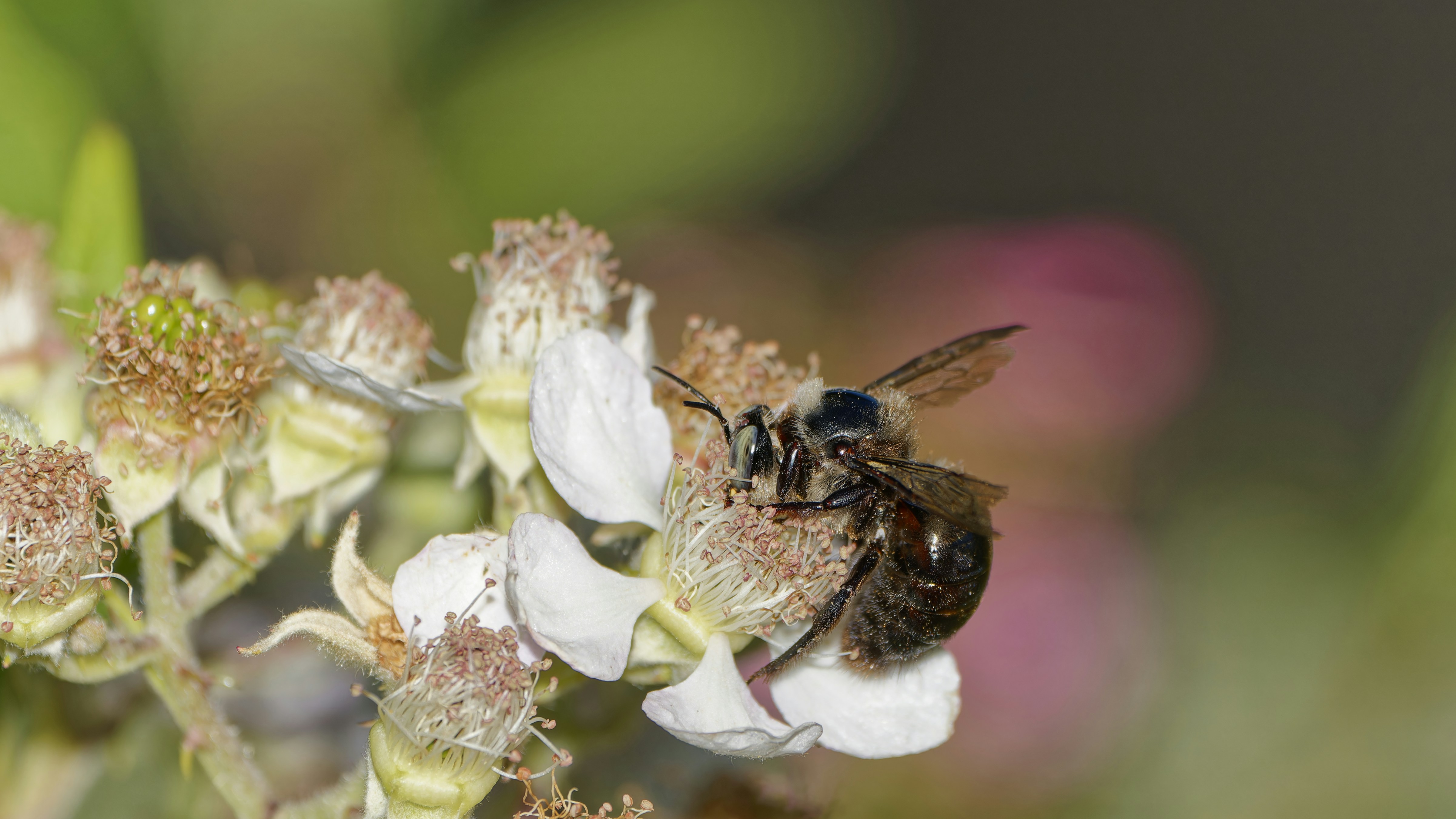 Photo by patrickbigelow_zoom_in