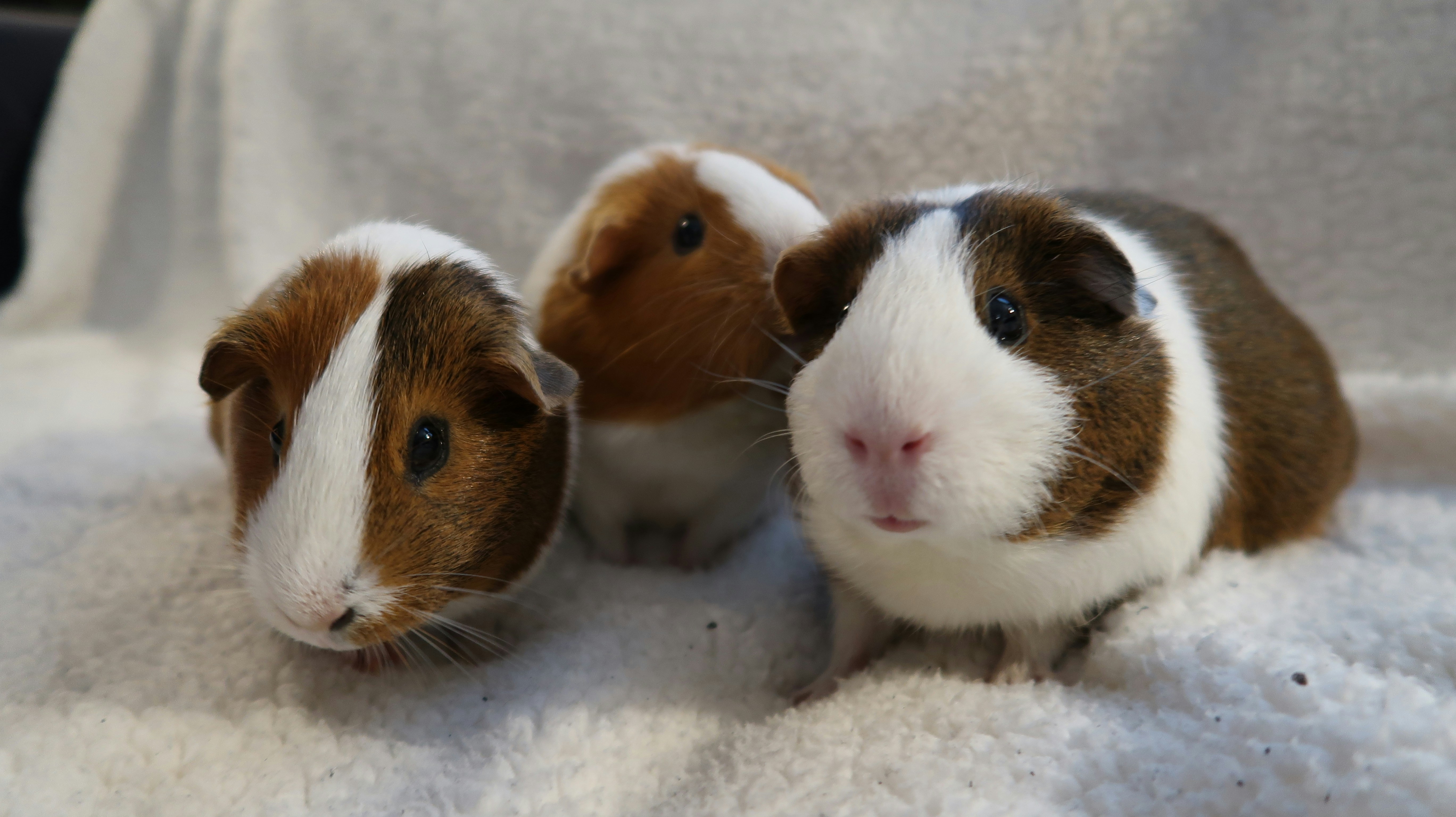 Alternative Methods and Future Directions (image credits: unsplash)