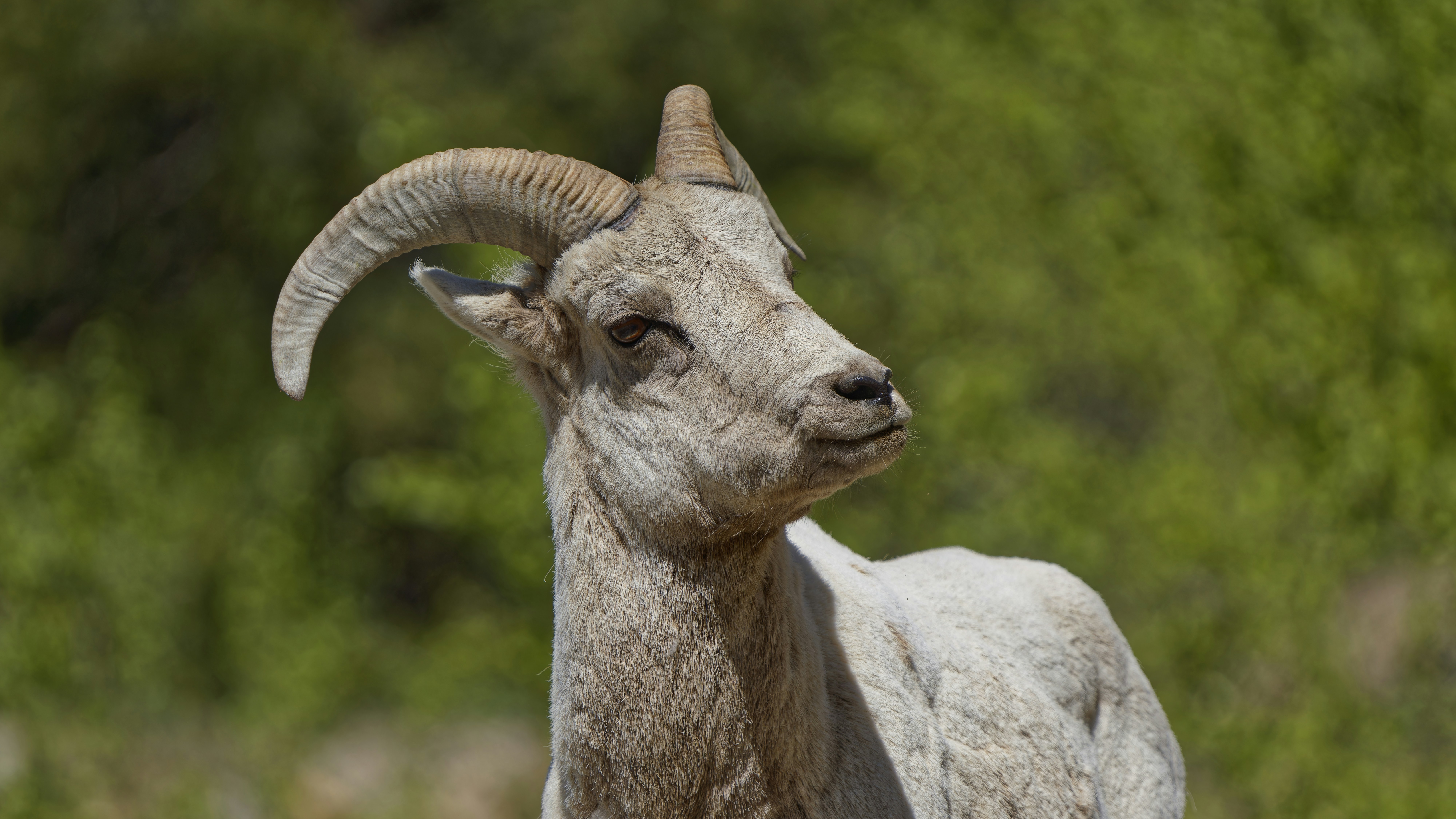 MarkHoor: Your Ultimate Guide