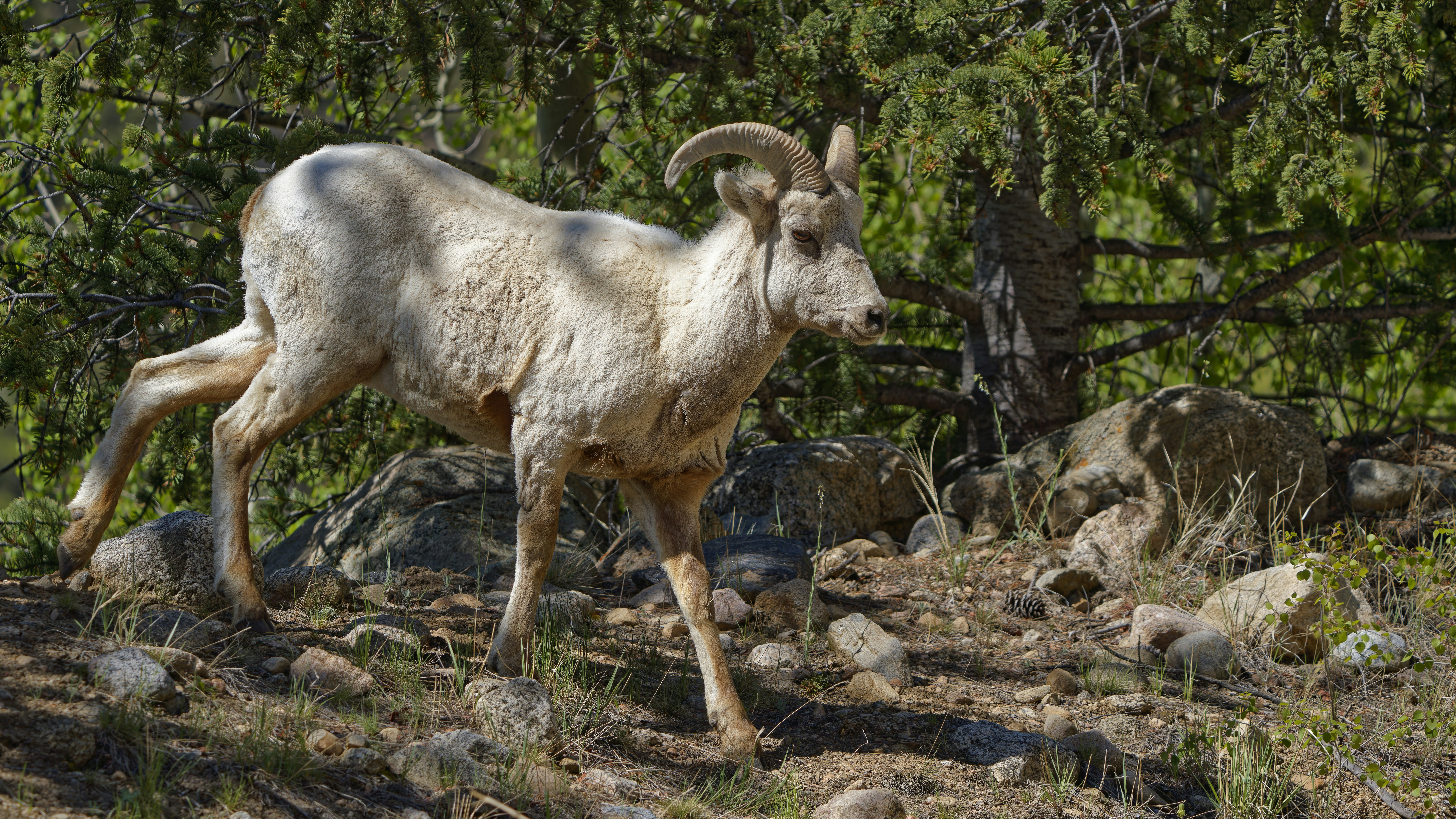 Photo by patrickbigelow_zoom_in