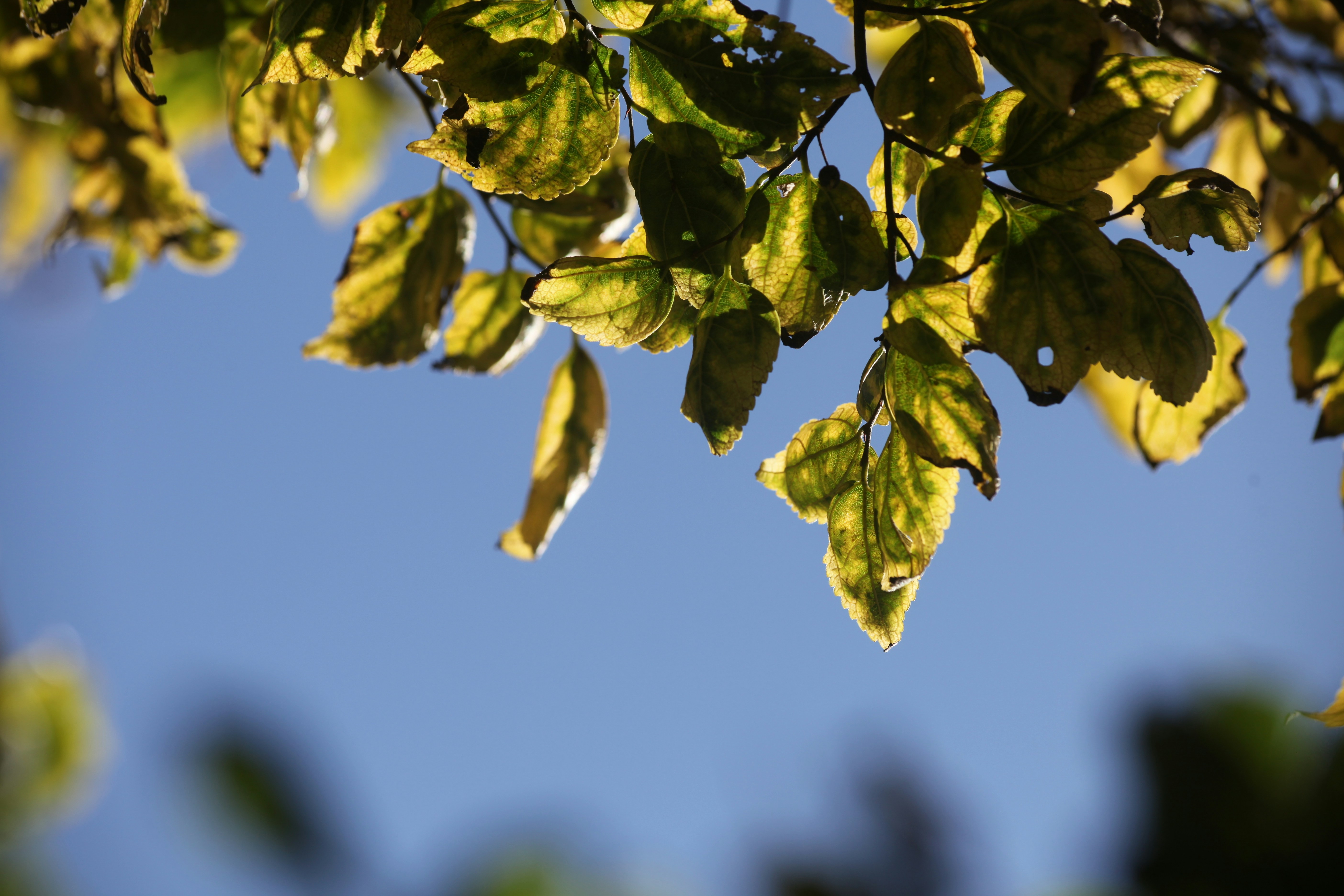 Photo by arianecalandra