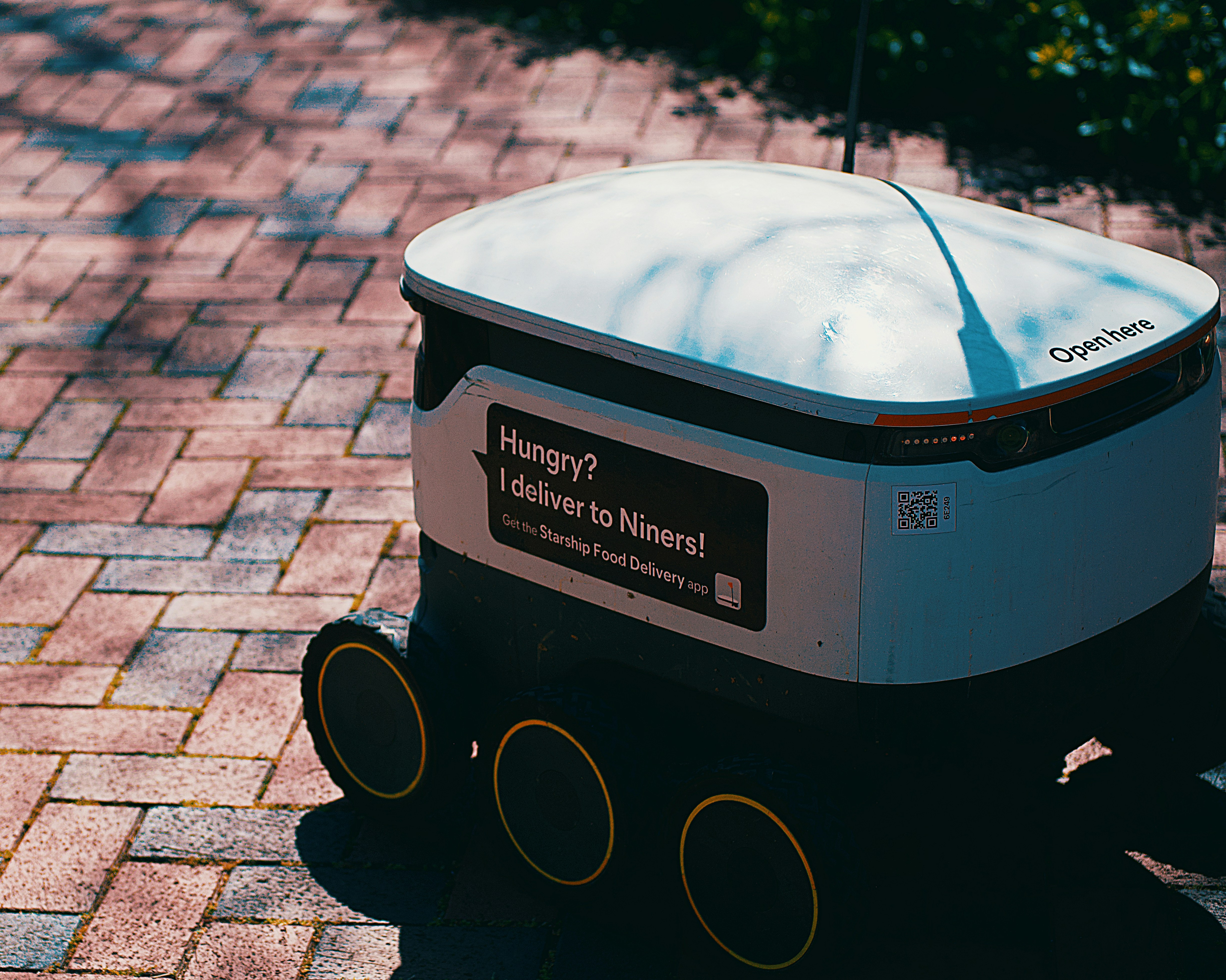 A food delivery robot is on the brick pavement. photo – Free Usa Image ...