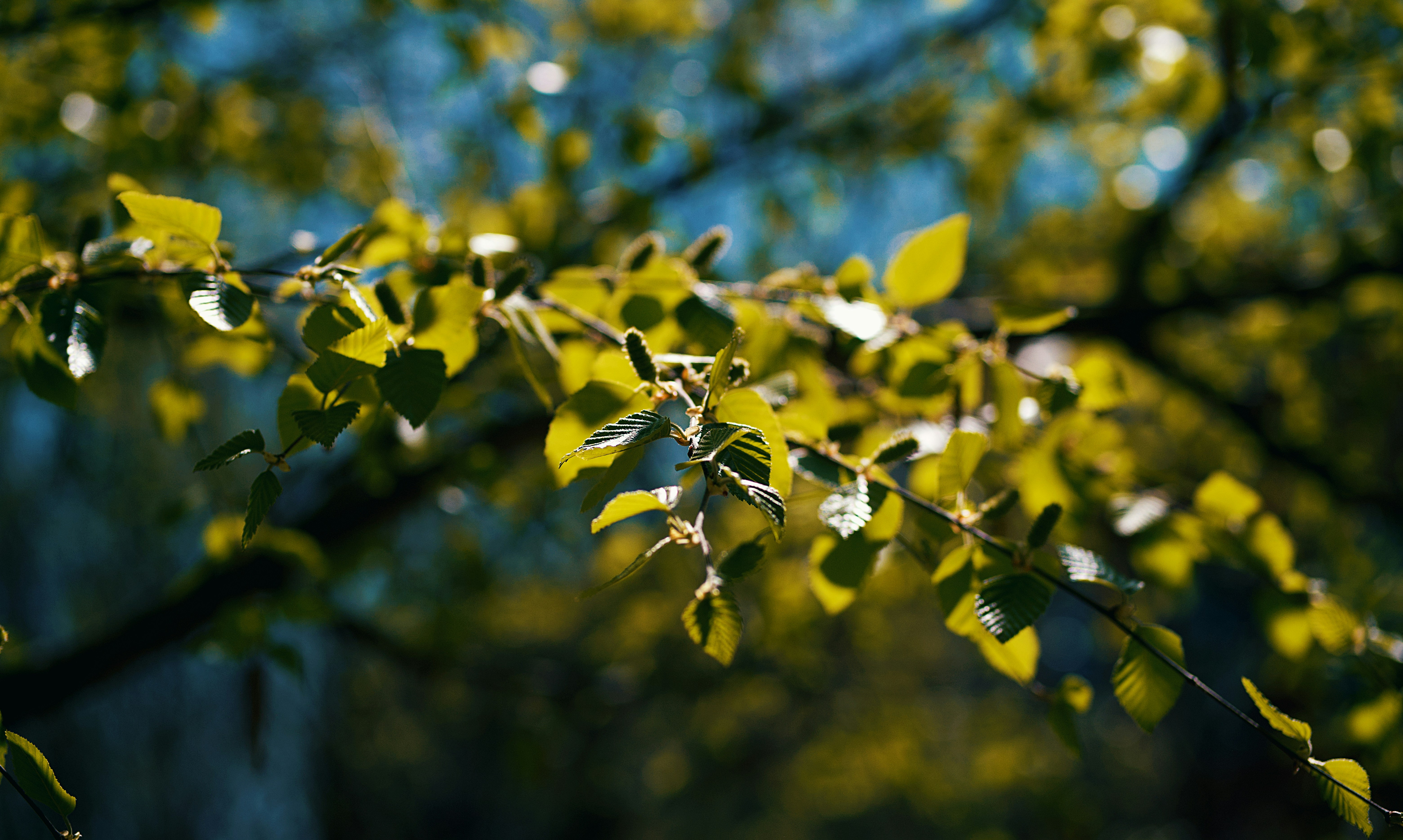 Photo by leiadakrozjhen