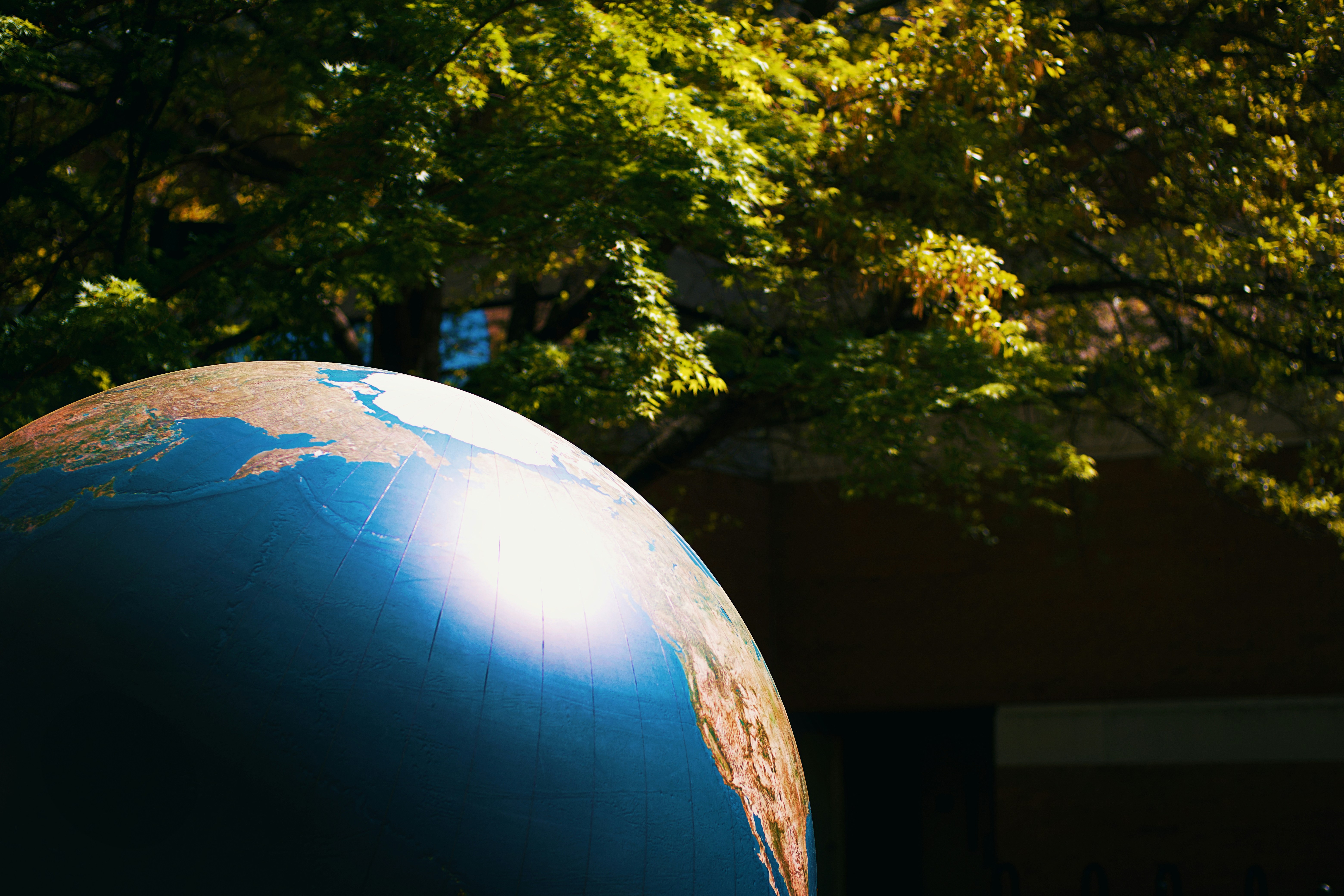 Global Economy Braces for Uncertain Future in 2026
