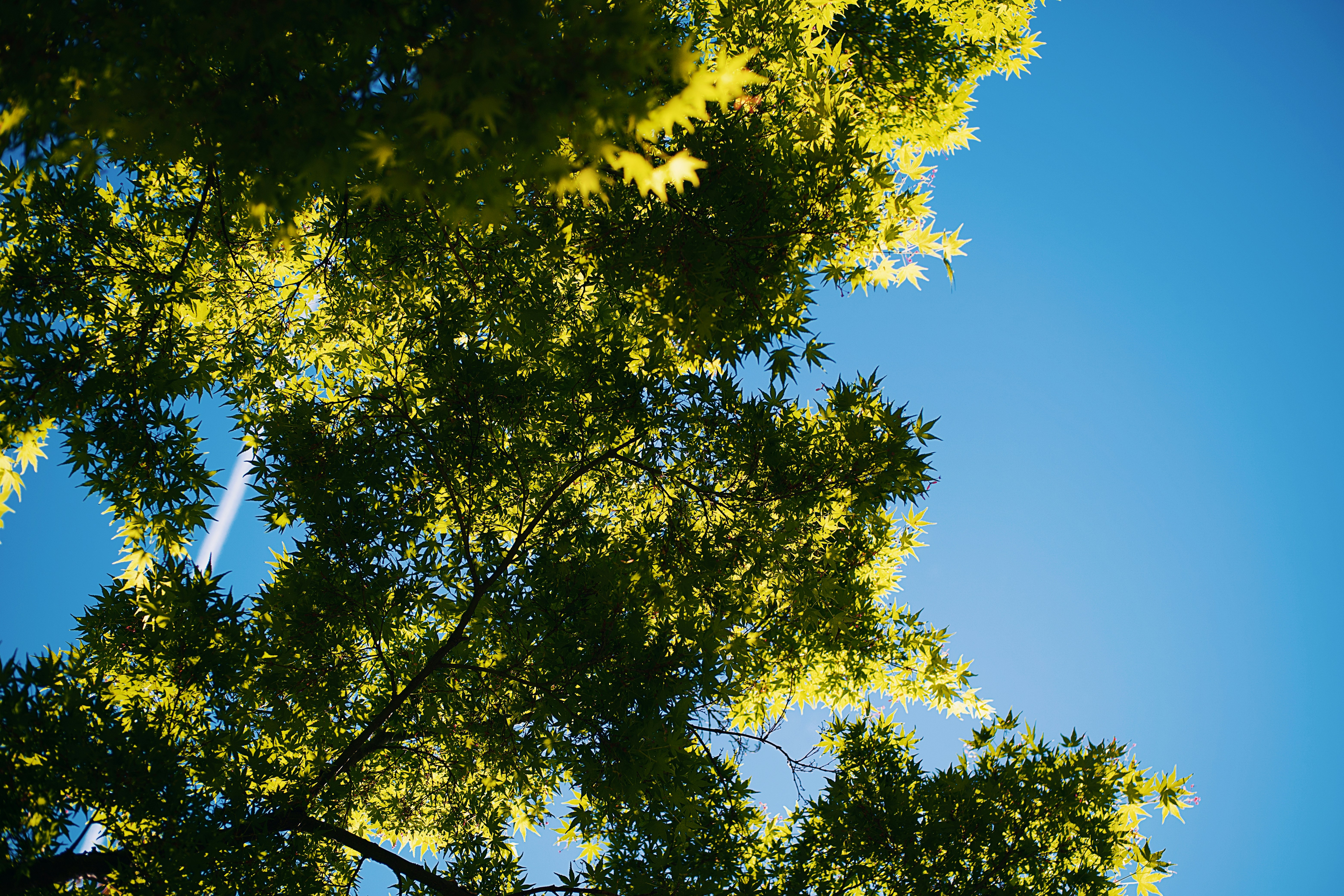 Photo by leiadakrozjhen