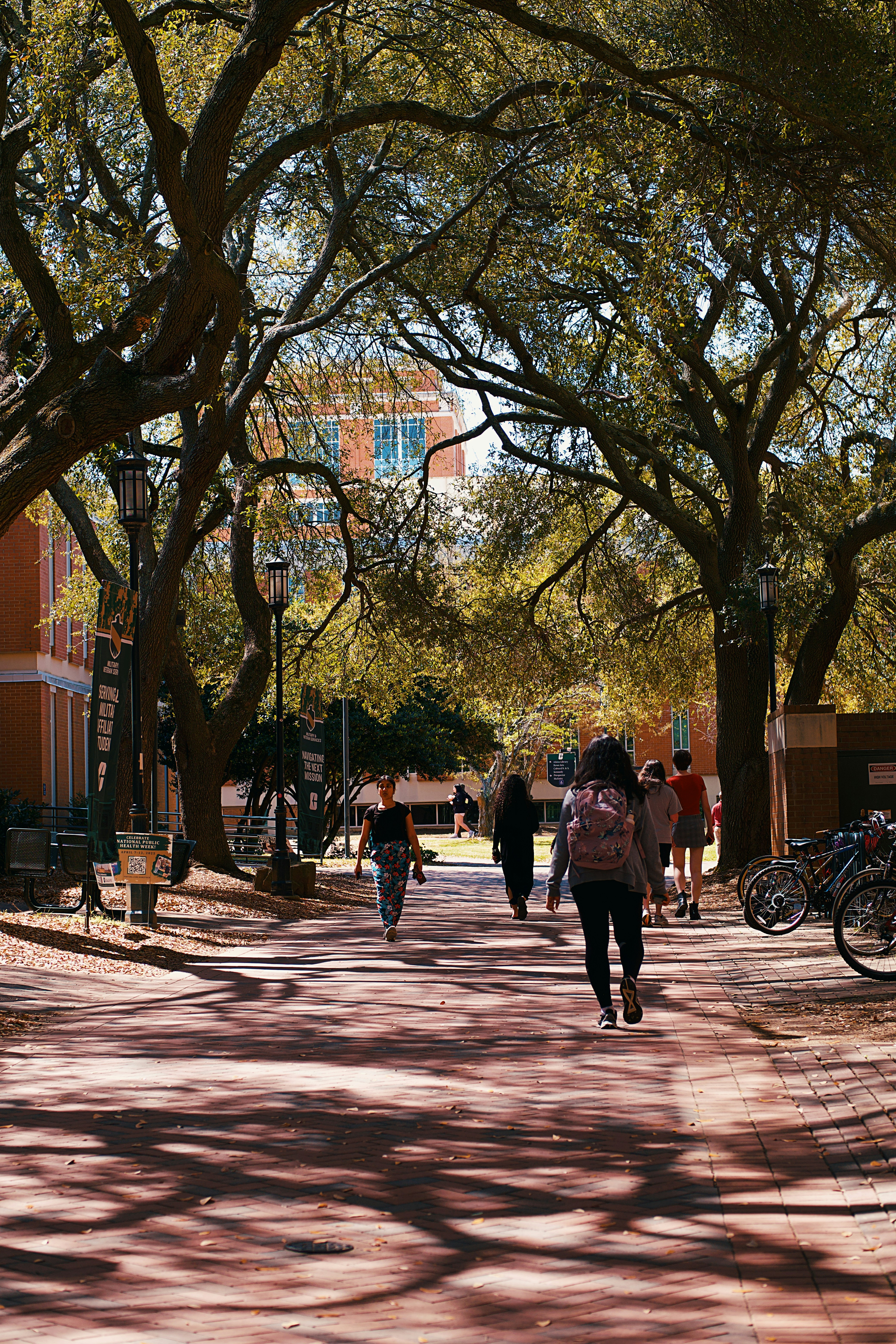 학생들은 나무가 있는 캠퍼스 통로를 걷습니다. 사진 – Unsplash의 무료 여자 이미지, image size:3000x4500