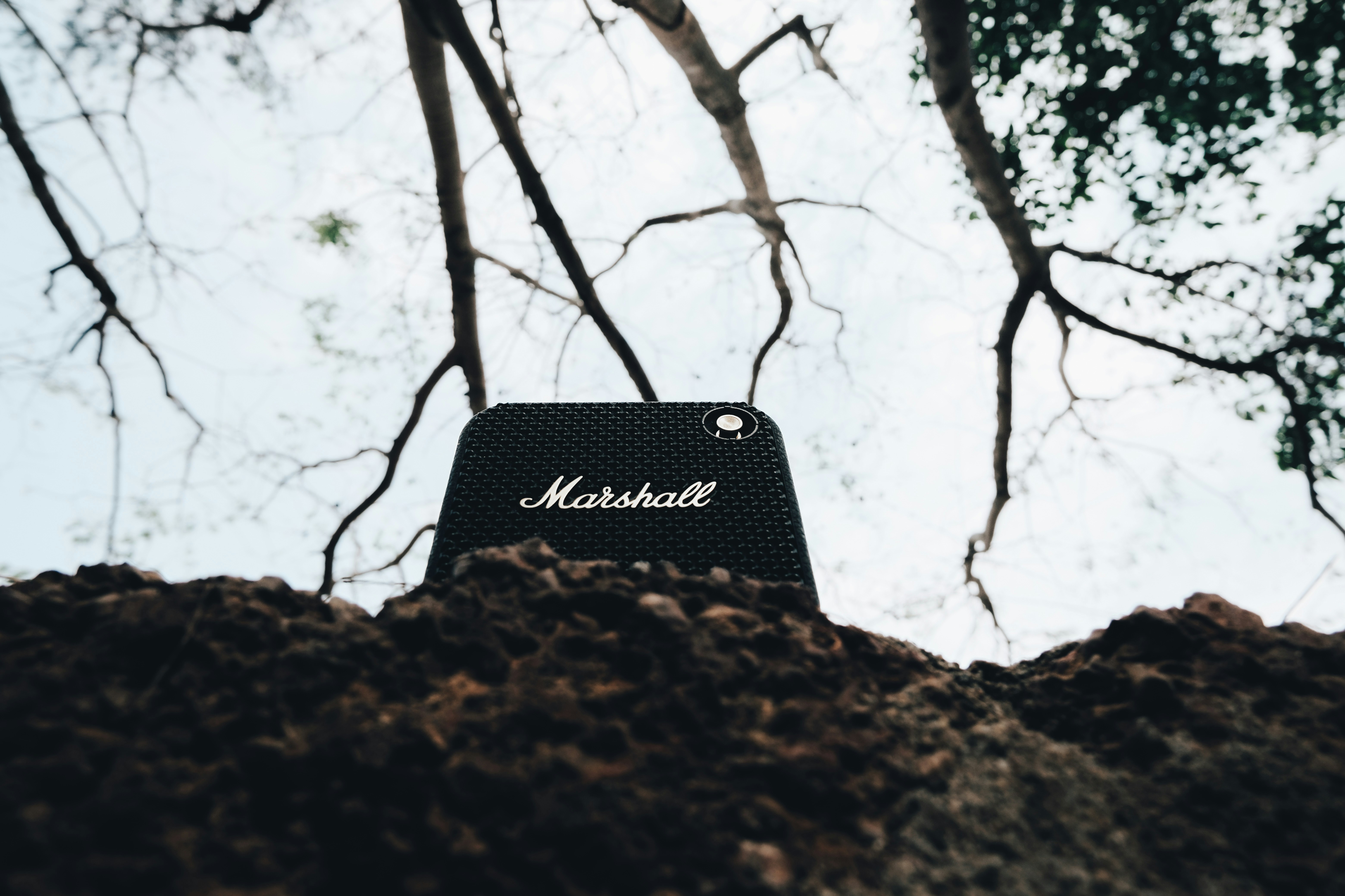 A marshall amp rests on a tree trunk. photo – Free Electronics Image on ...