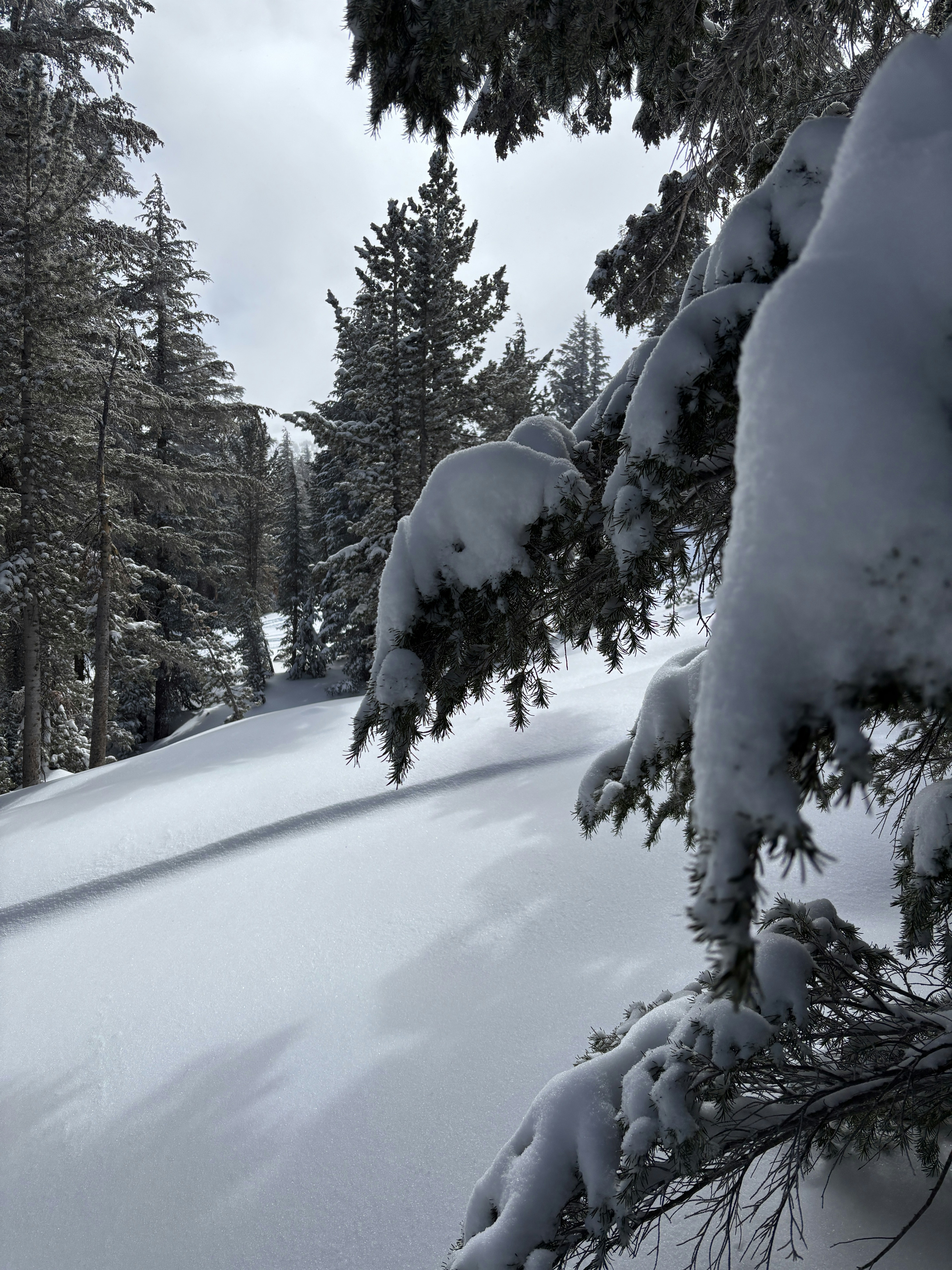 Photo by jim_moriarty