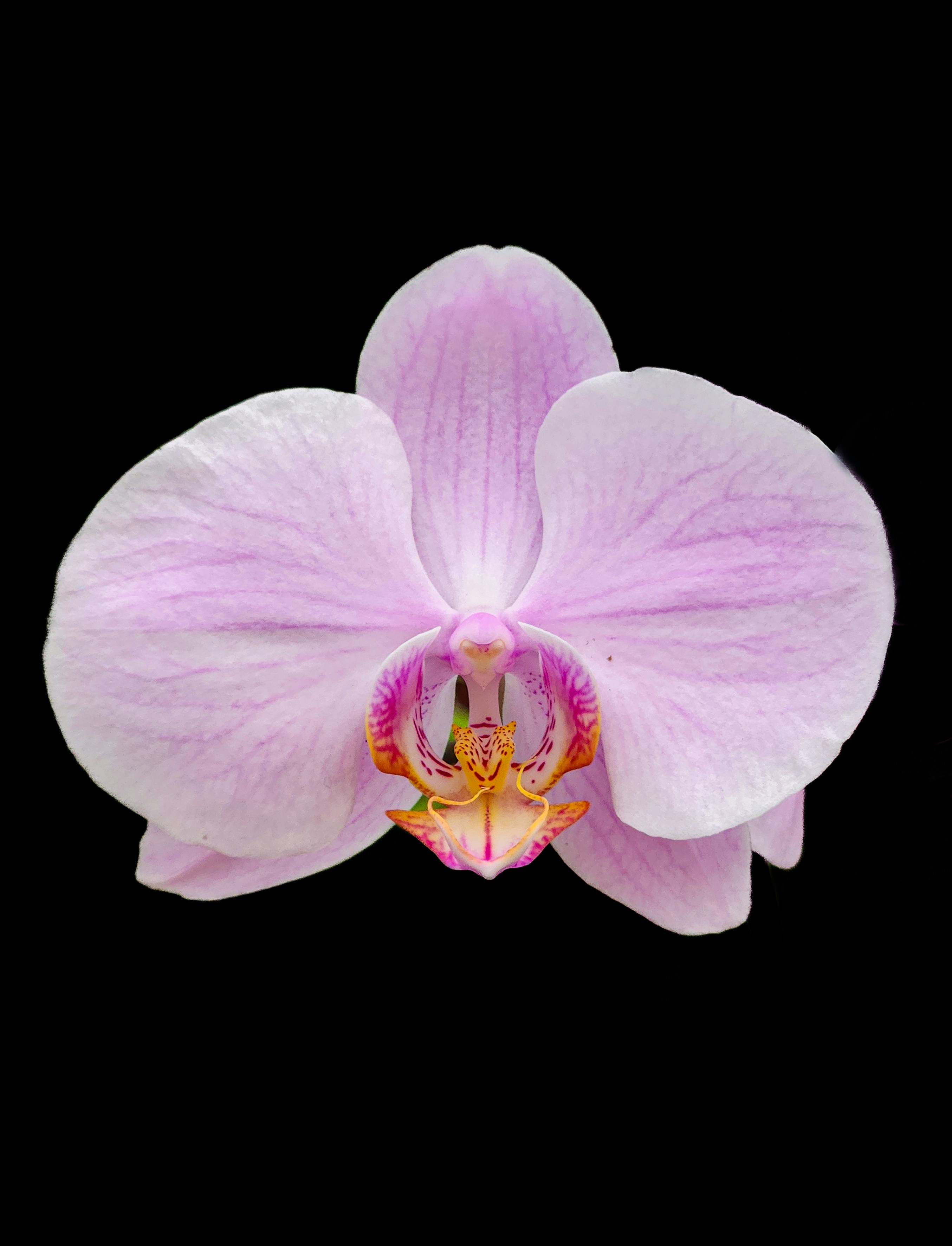 Photo by zoshuacolah