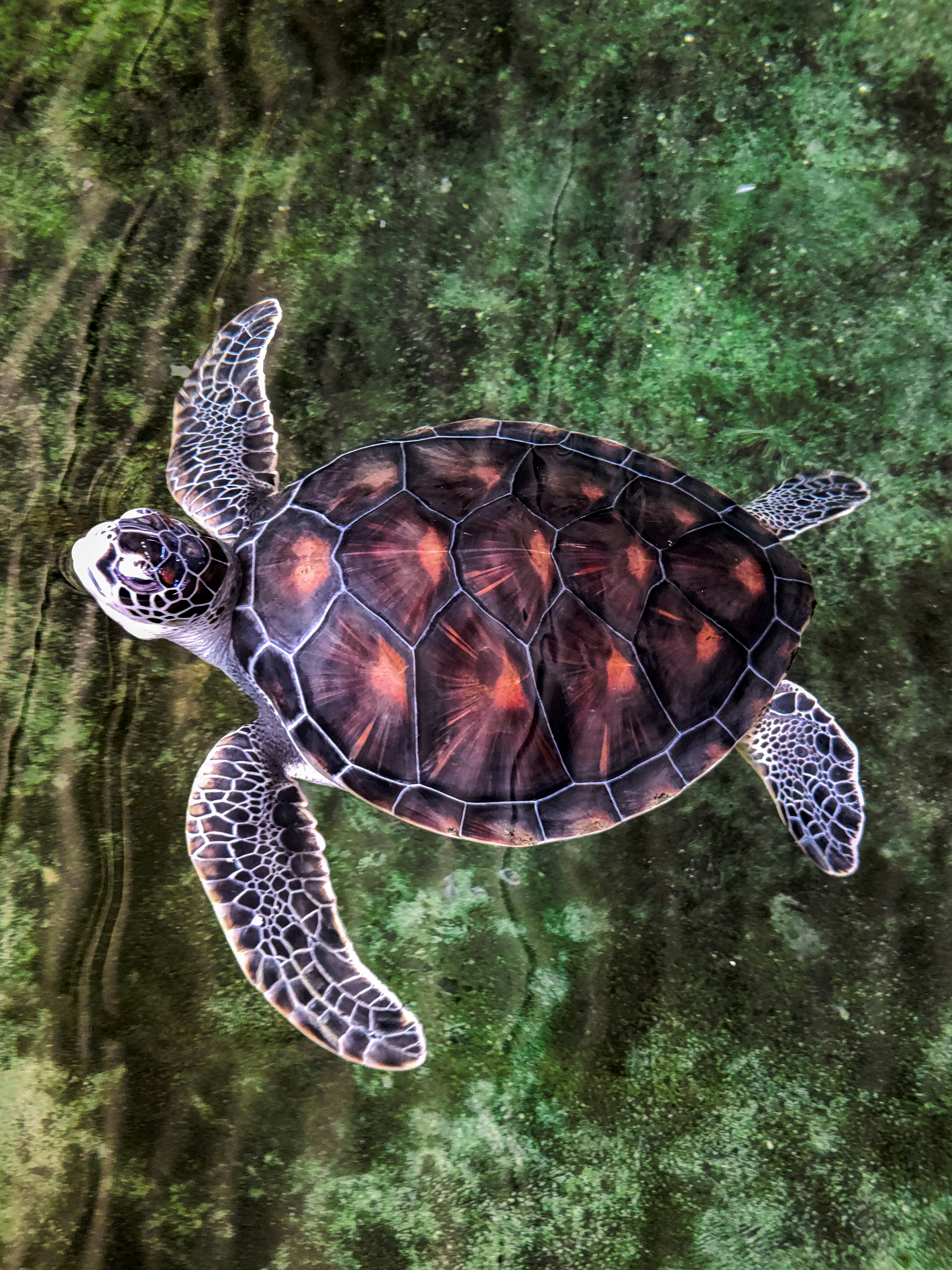 Photo by zoshuacolah