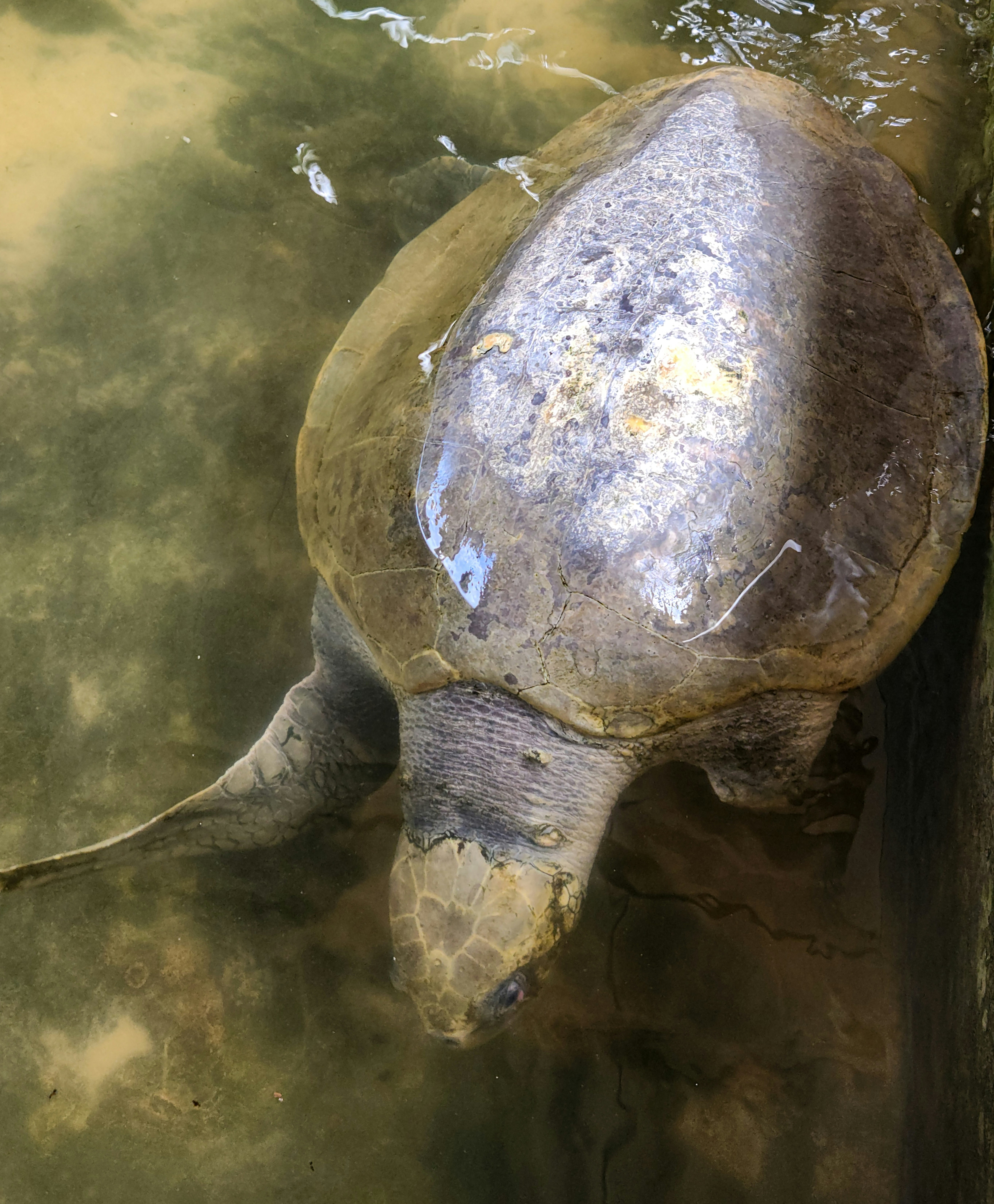 Photo by zoshuacolah