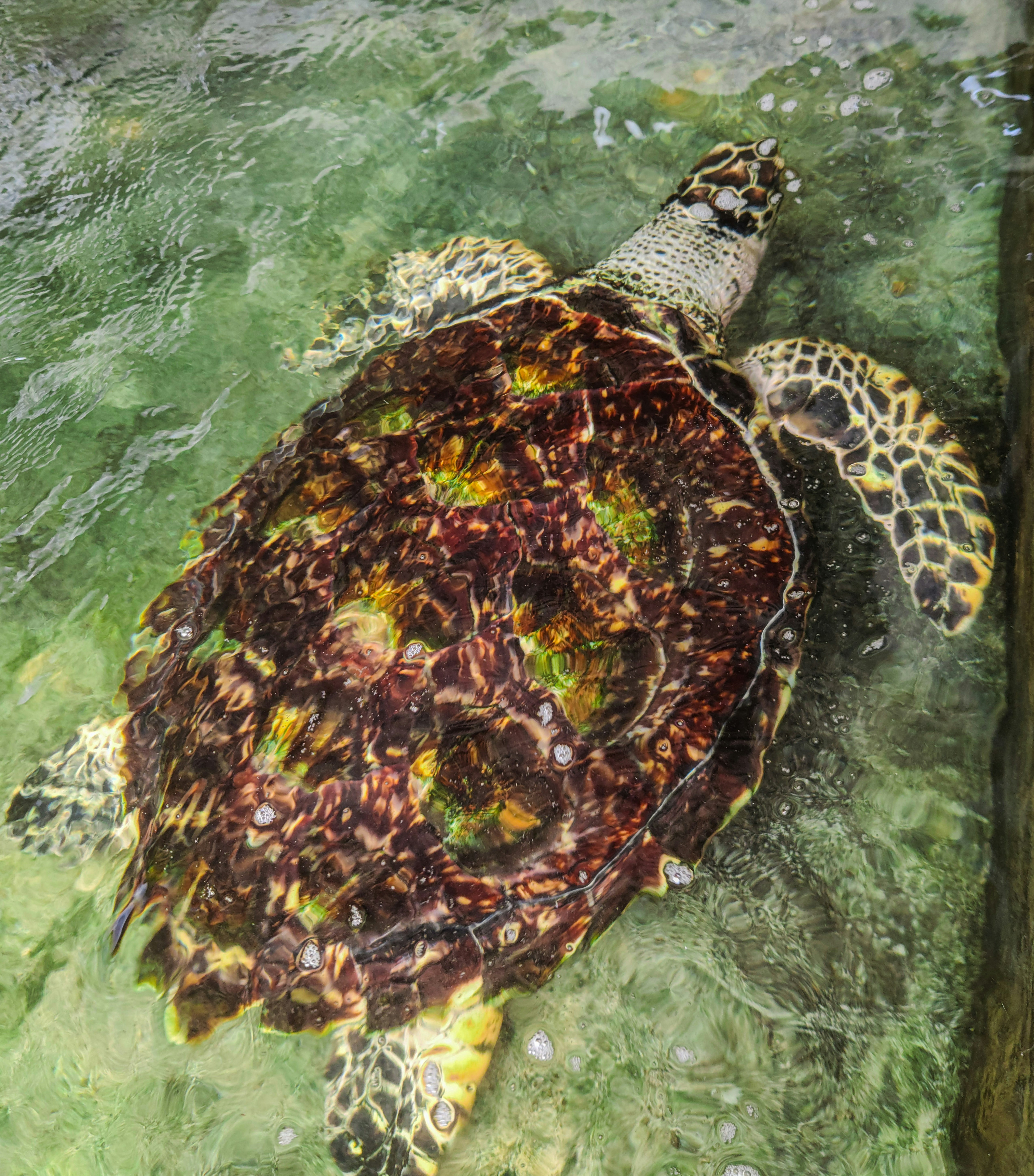 Photo by zoshuacolah