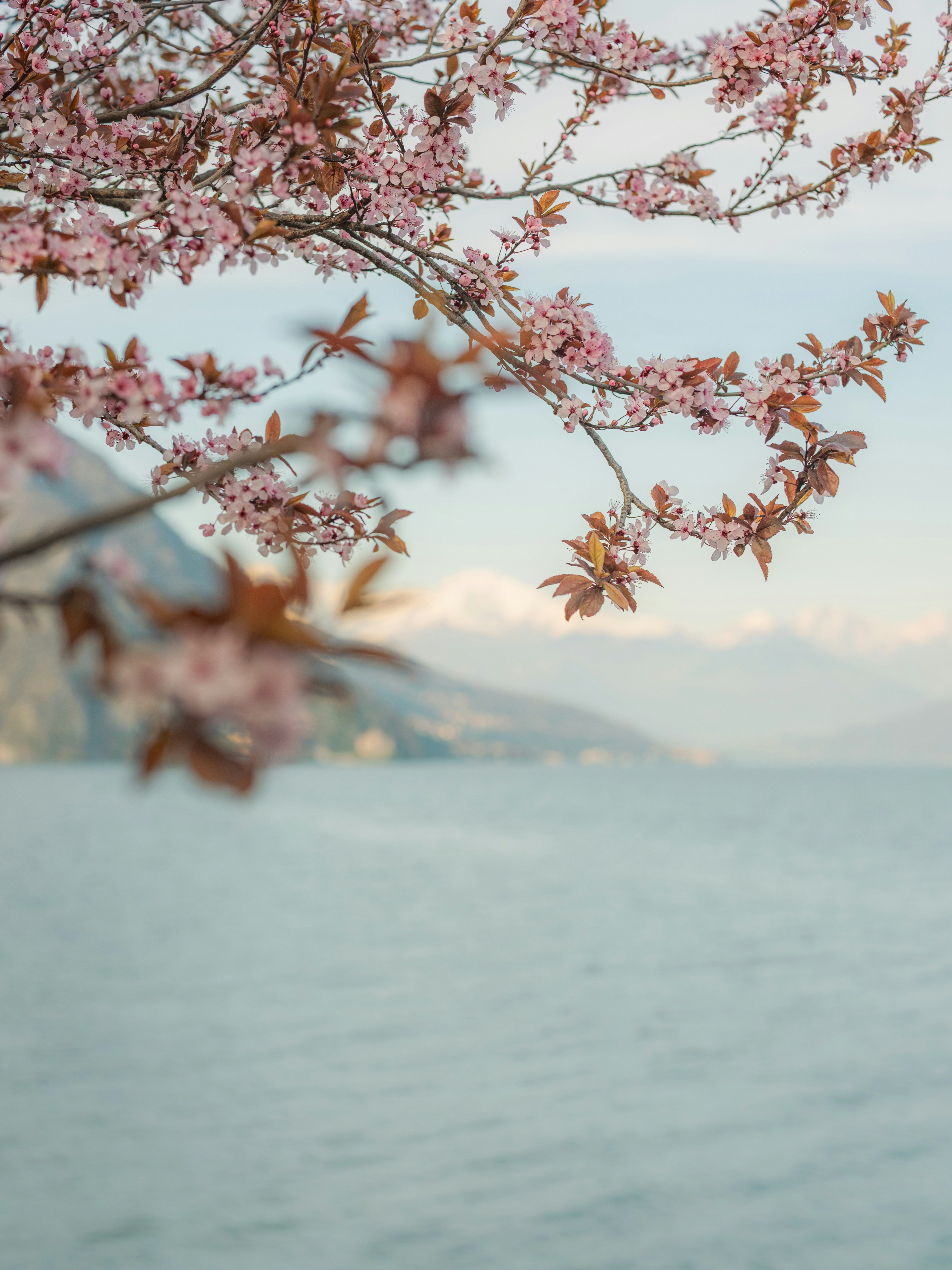 Adventures in Air Travel: A Tale of Delays and Last Minute Races