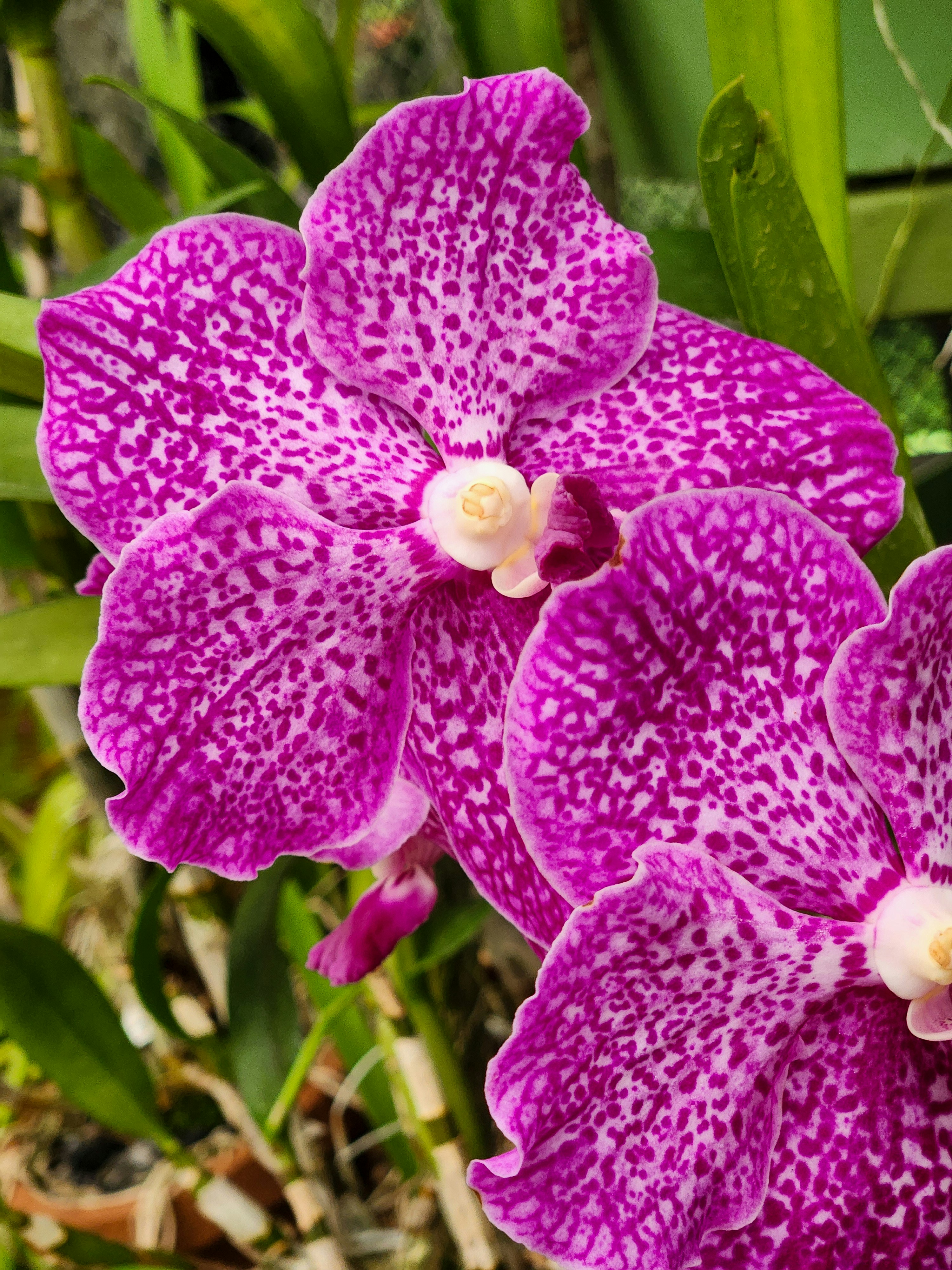 Photo by zoshuacolah