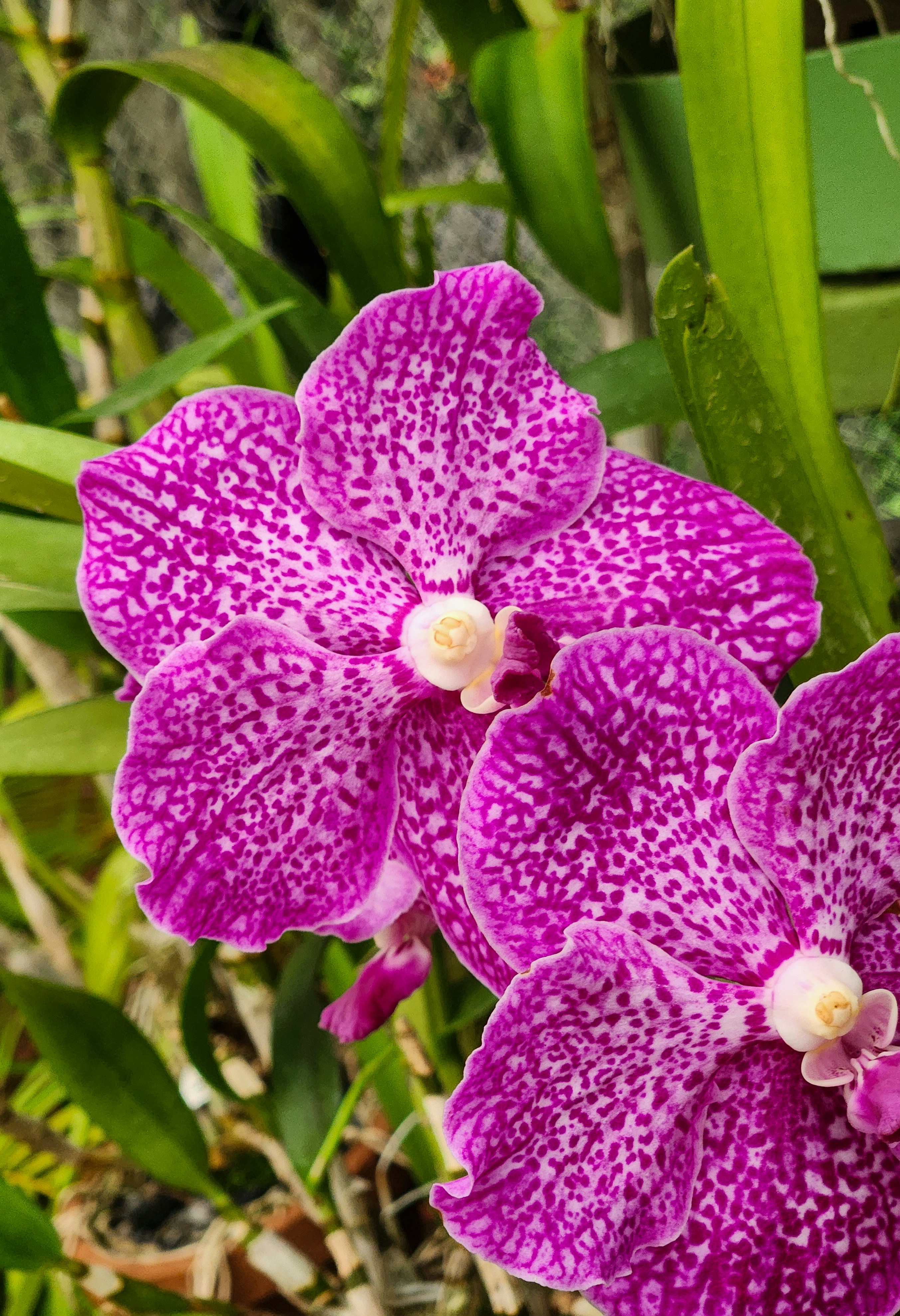 Photo by zoshuacolah