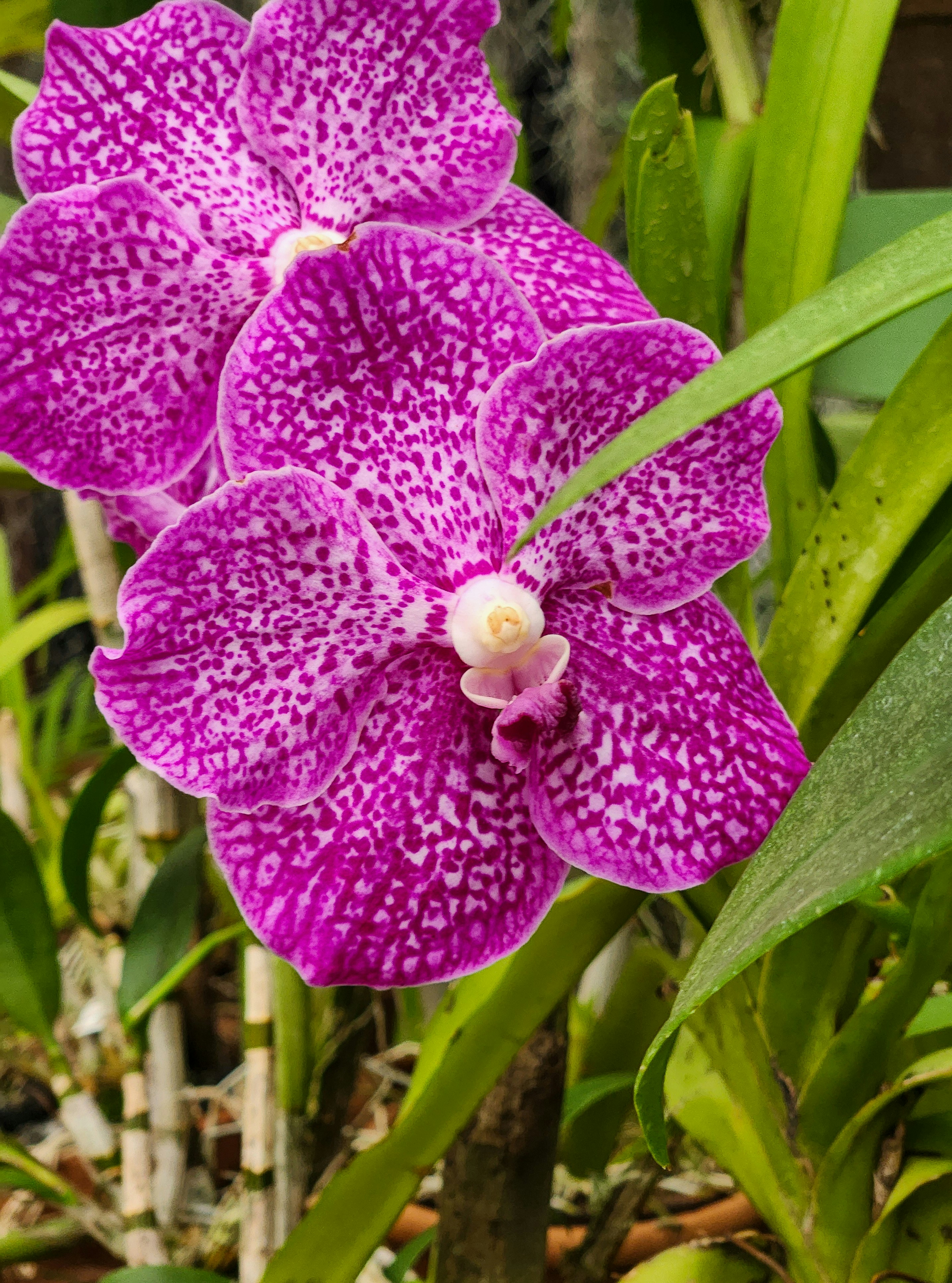 Photo by zoshuacolah