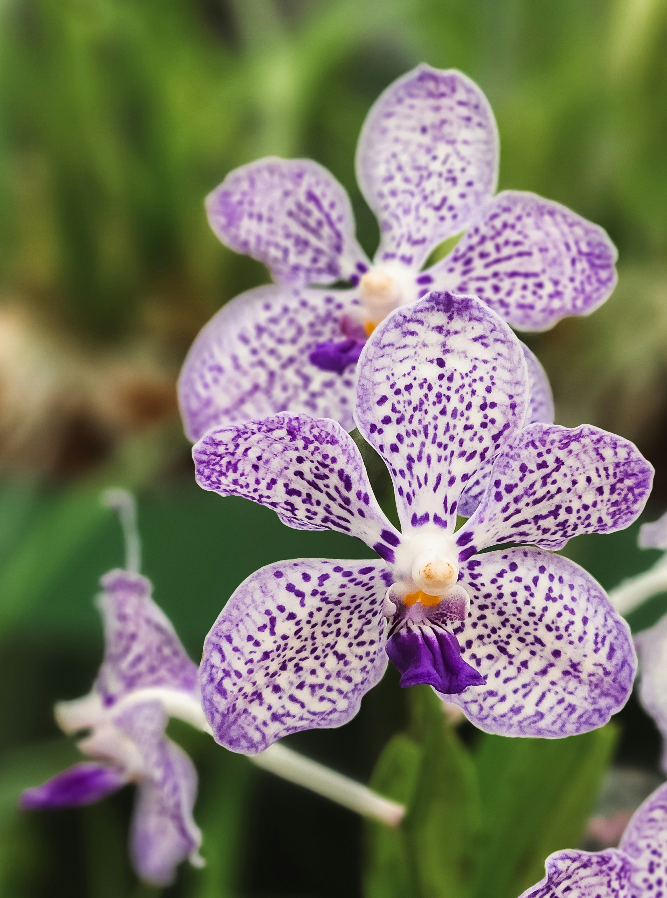 Photo by zoshuacolah