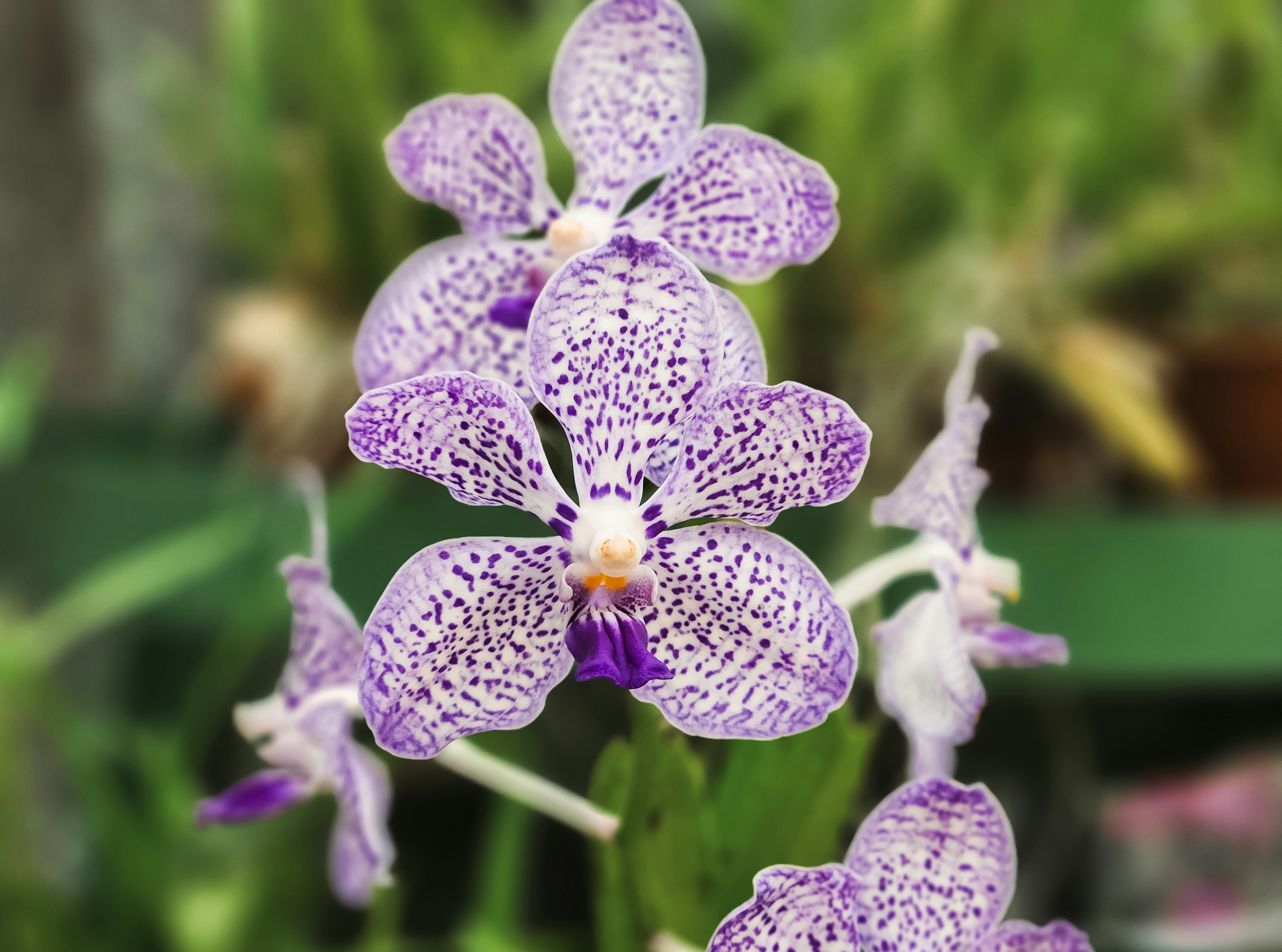 Photo by zoshuacolah